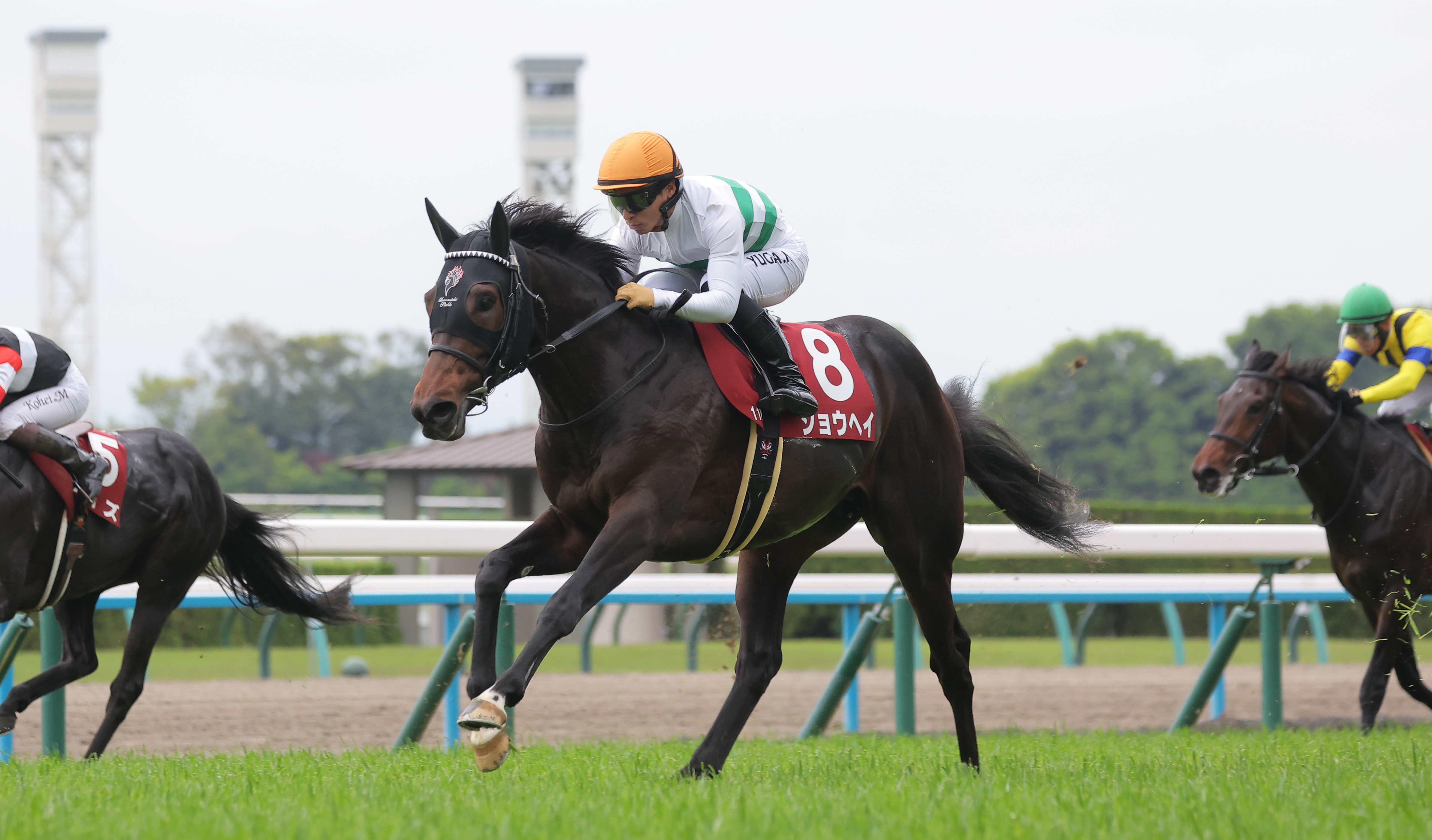 神戸新聞杯の注目点】日本ダービーの3、5着馬が始動