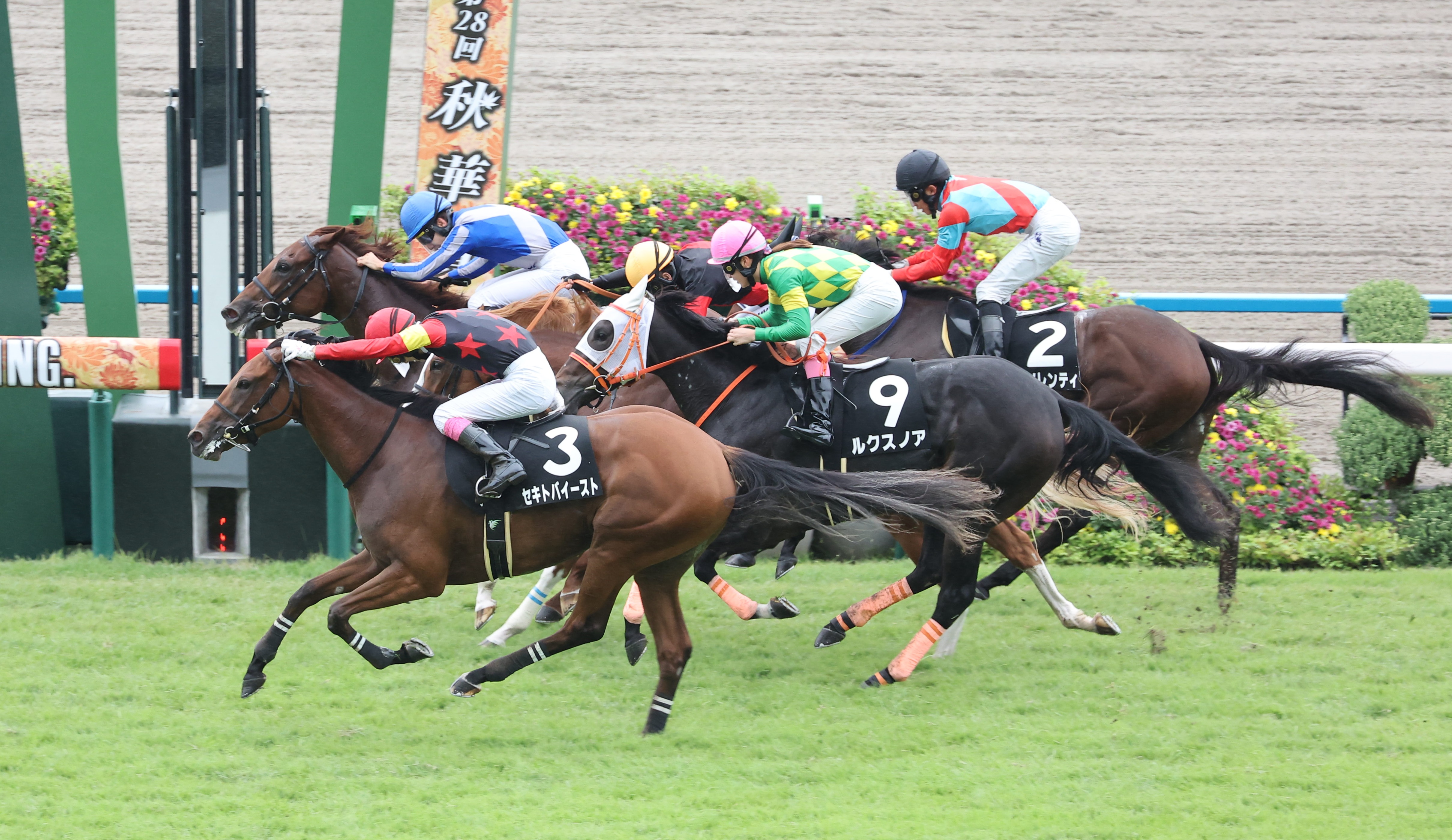 【りんどう賞】キャプテンネキがゴール前４頭横一線の大接戦制す！