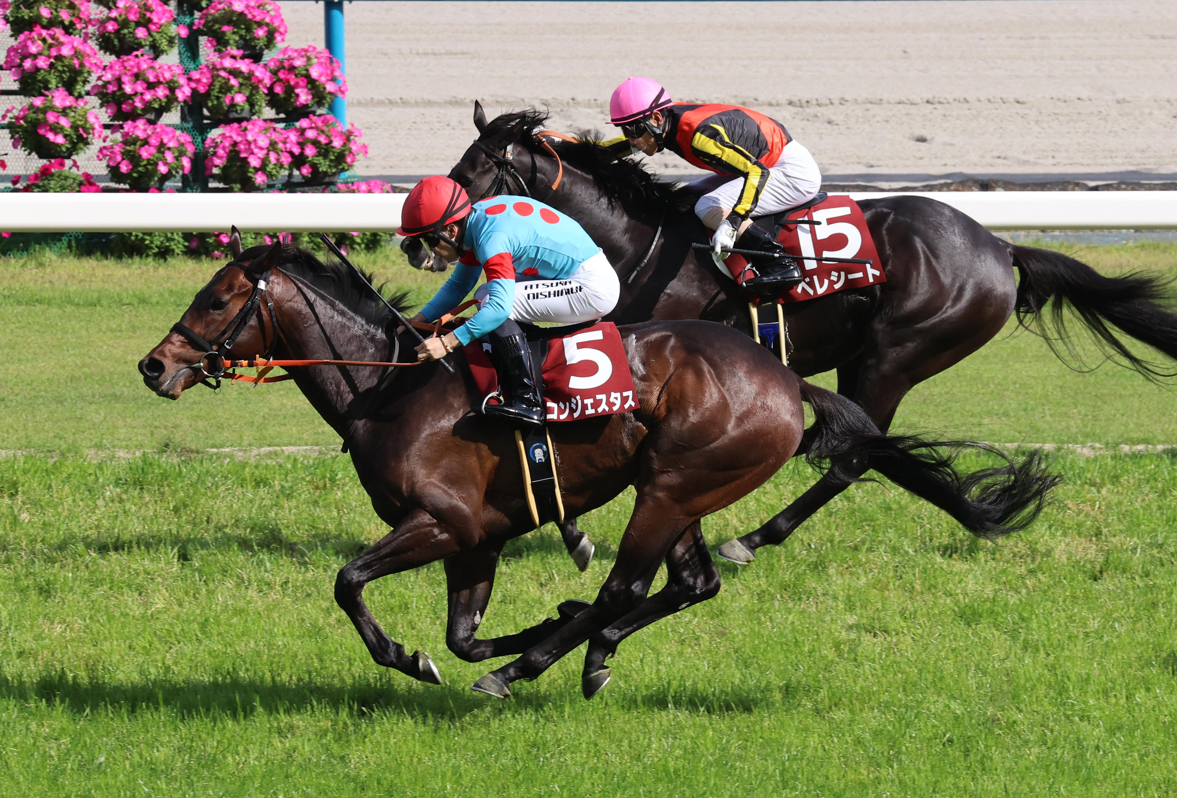 京都新聞杯】コントレイル産駒コンジェスタスが無傷3連勝で重賞V 西村