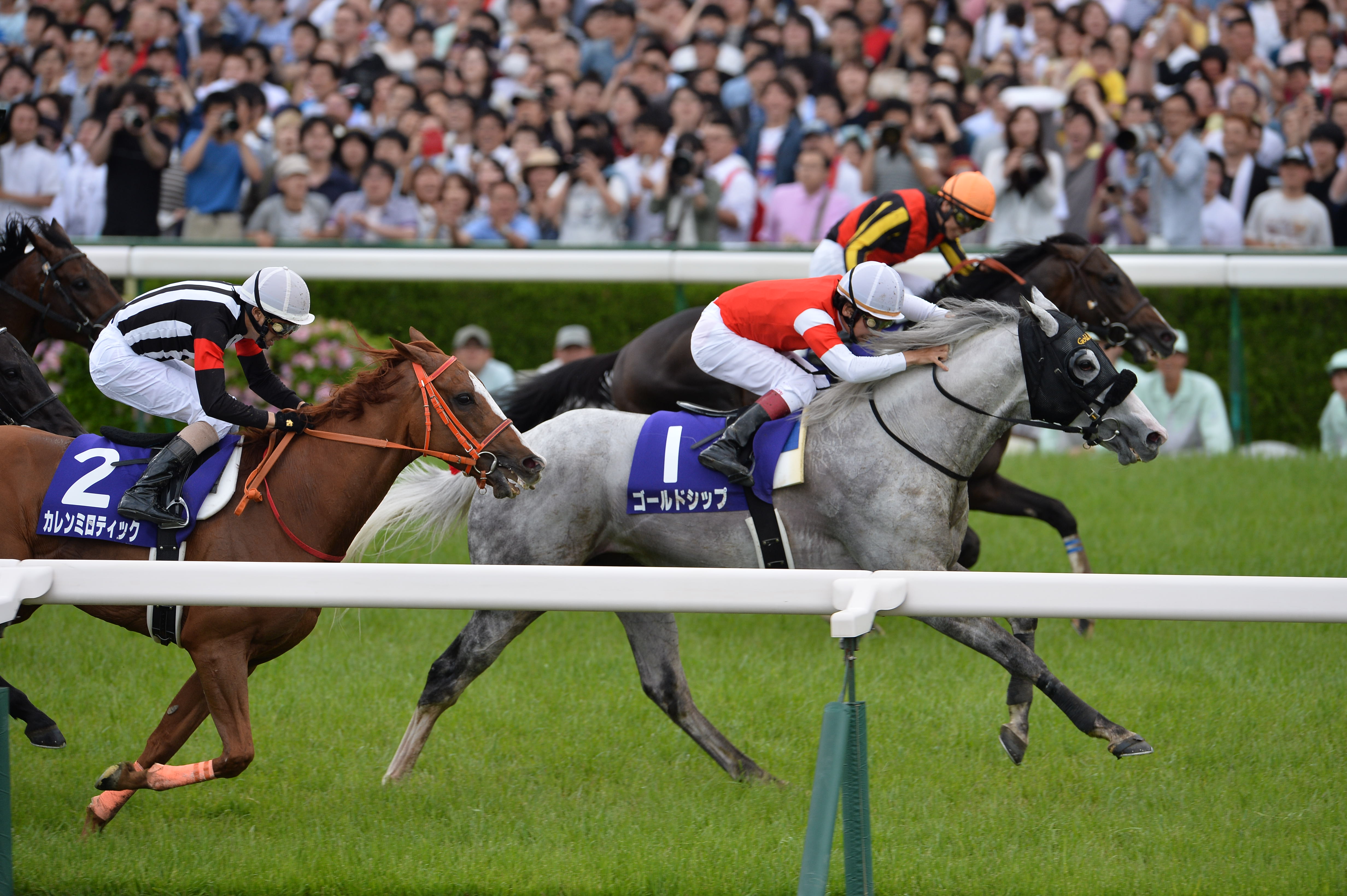 威圧で周りの馬が逃げた！ 今浪元厩務員が語るゴールドシップ