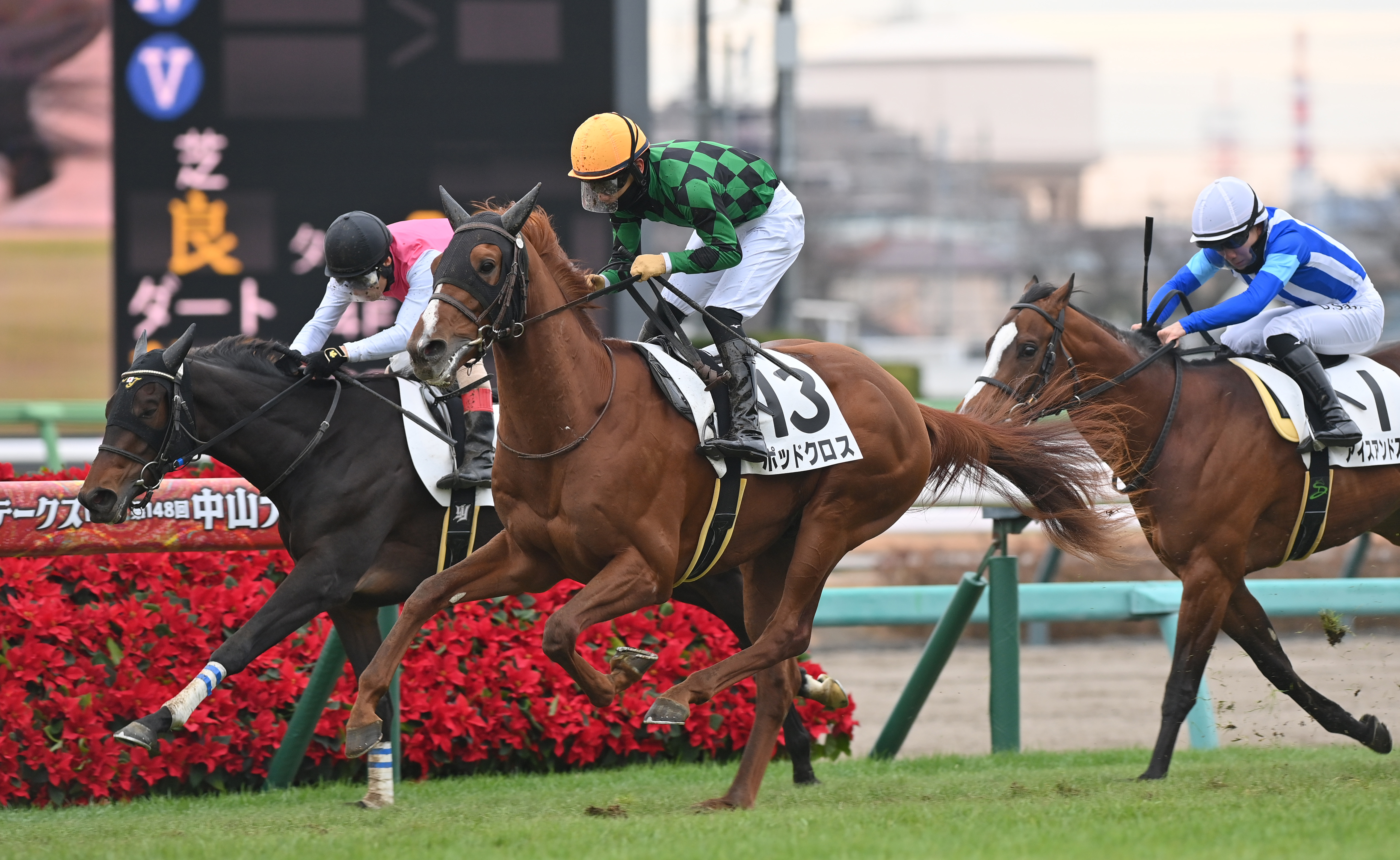 京成杯】大久保友雅騎手がポッドクロスとの初コンビで重賞初騎乗へ