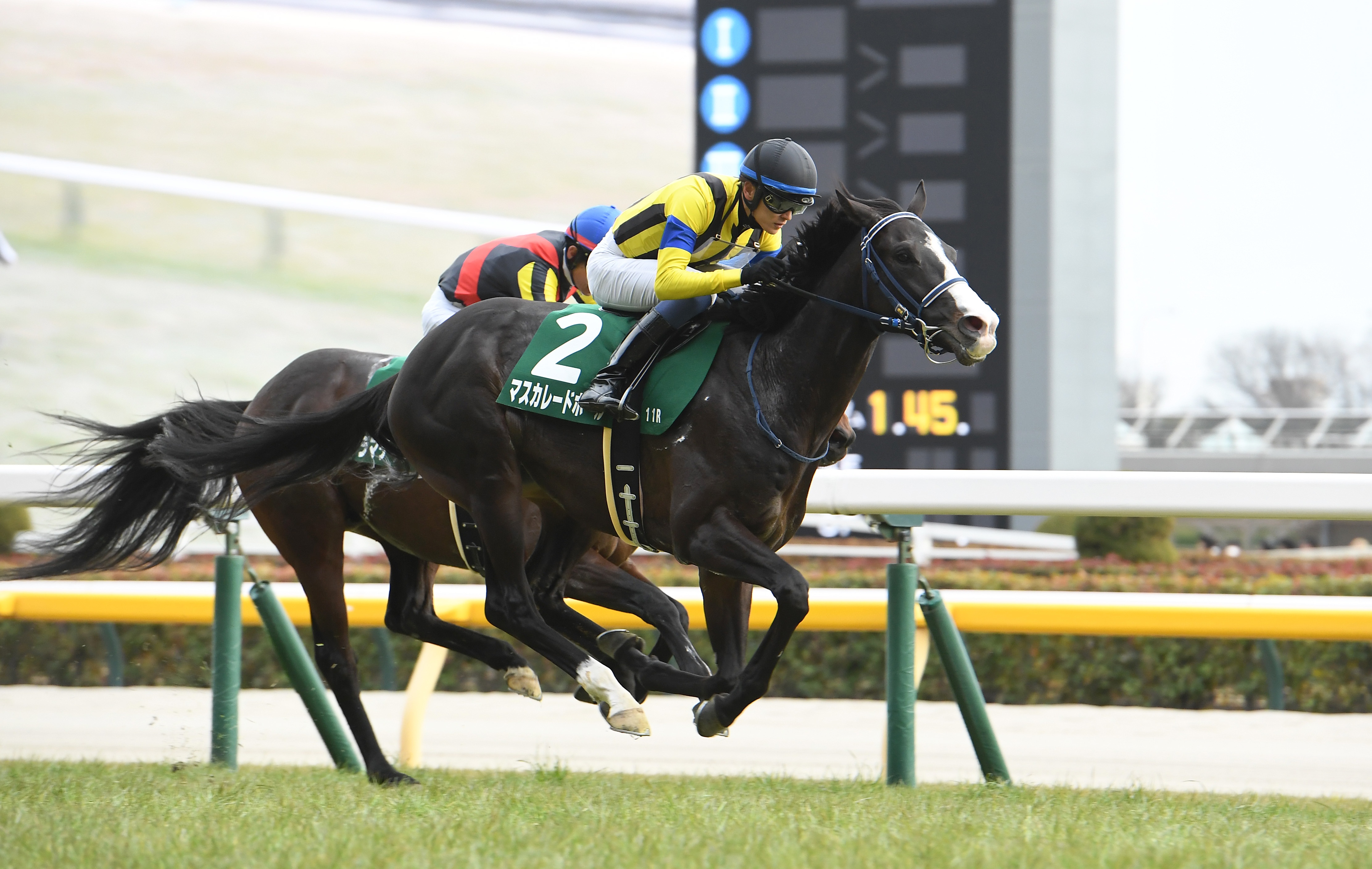 ドゥラメンテ 新馬戦から宝塚記念国内全８戦現地単勝馬券セット 2025年最新】宝塚記念 競馬の人気アイテム - メルカリ