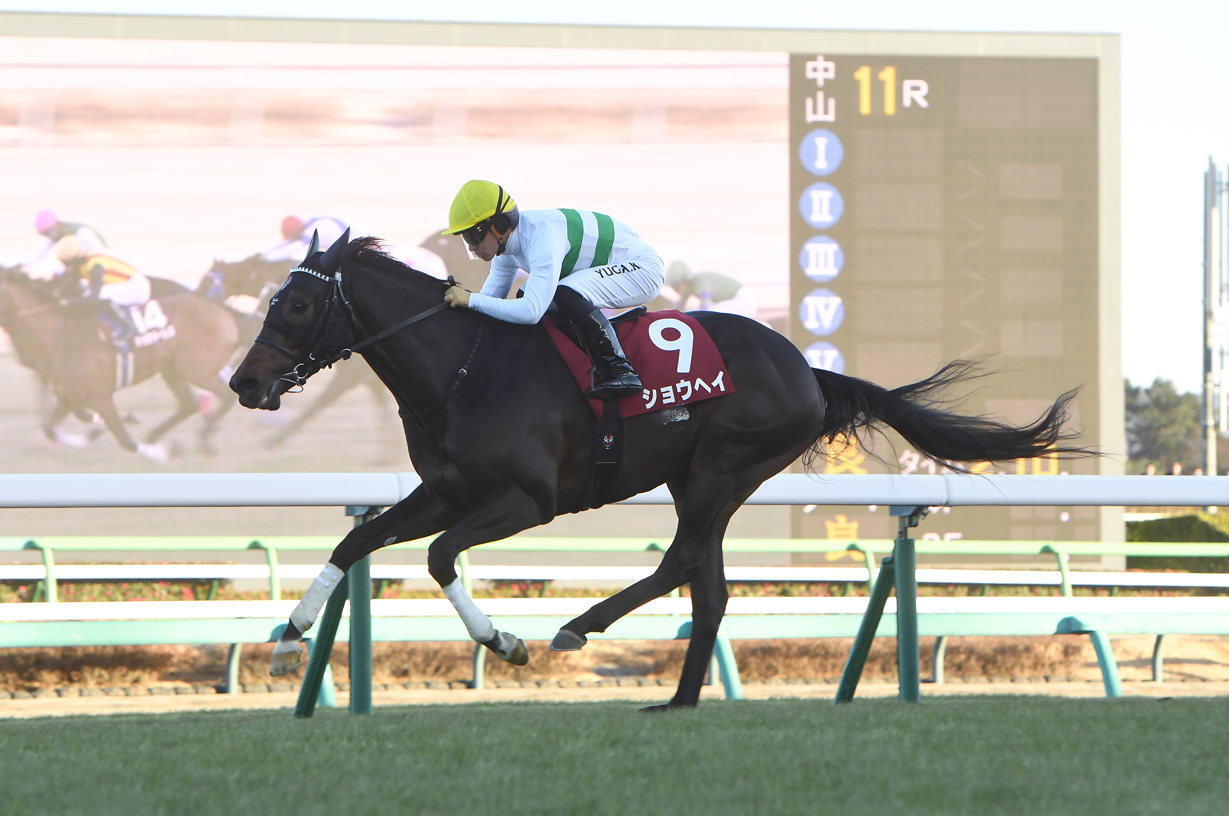 4歳以上次走報】ショウヘイは引き続き川田将雅騎手で大阪杯に挑む