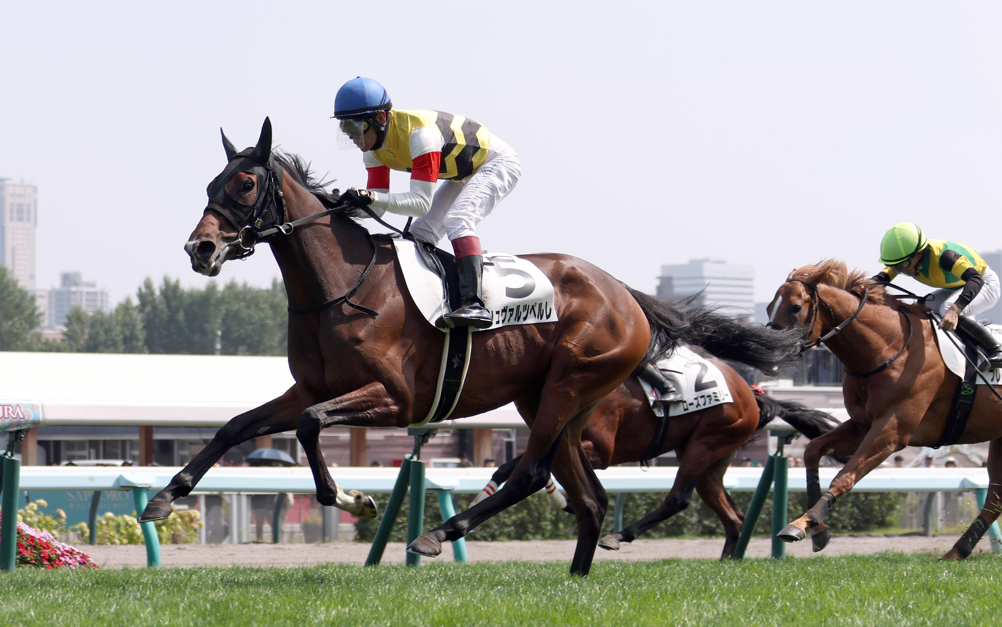 2歳新馬・札幌5R】シュヴァルツペルレ鋭く伸びてデビュー勝ち 浜中俊