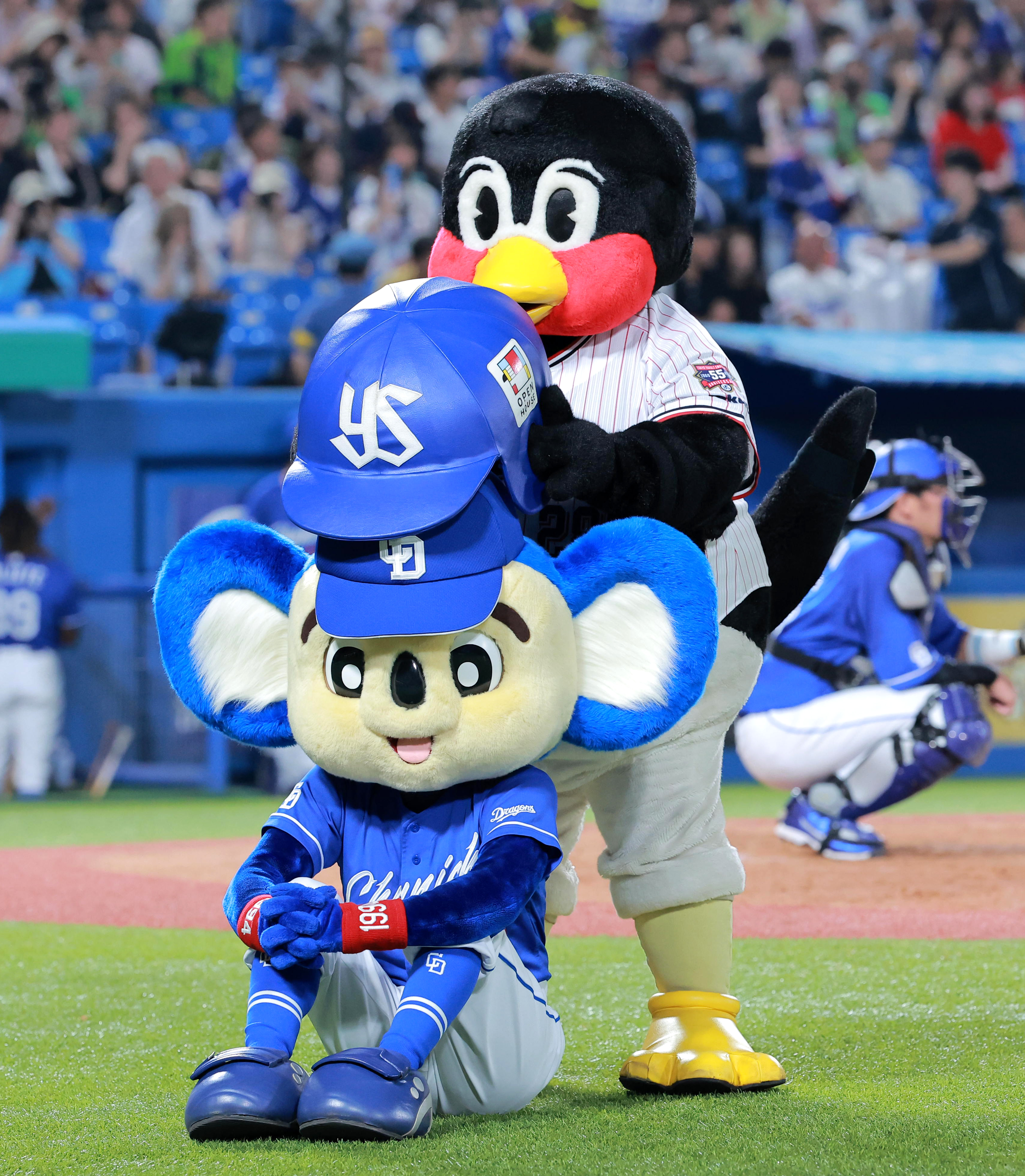 つば九郎「しゃれおつざっしのひょうしかざりました」 ドアラと9・11