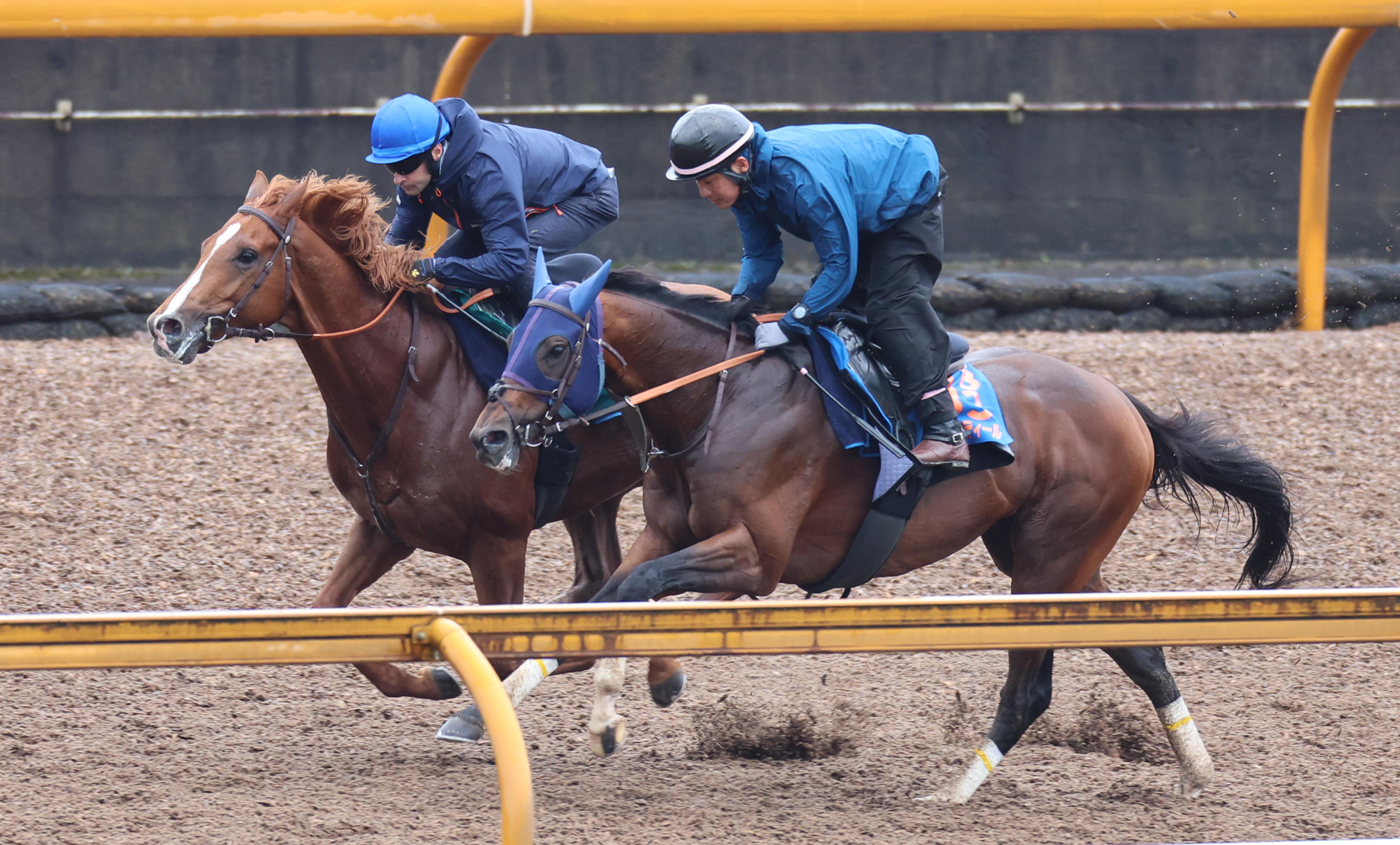 『デュランダル』単勝馬券（Ｇ１出走レース５枚セット） デュランダル』単勝馬券（G1出走レース5枚セット）