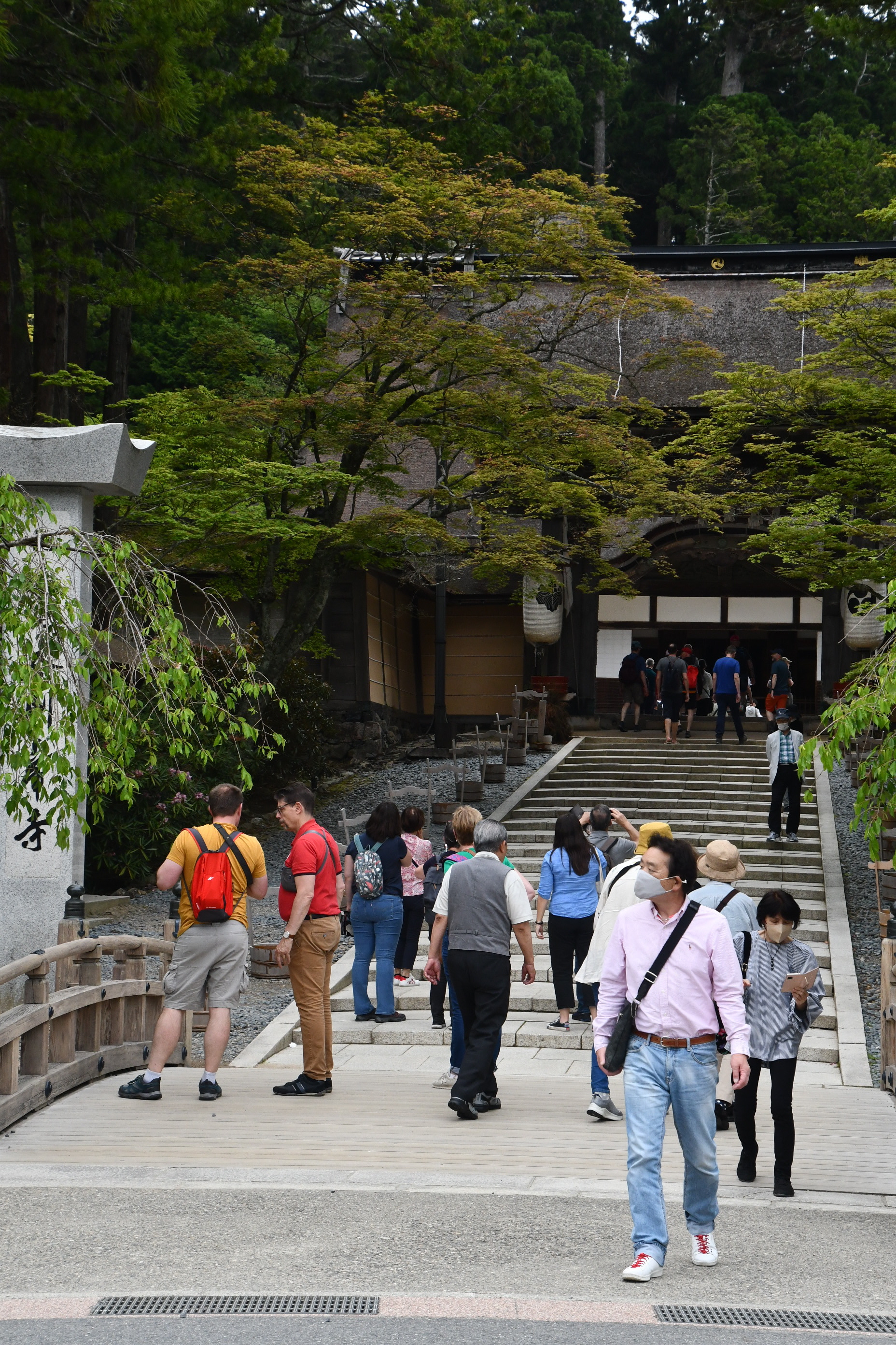 高野山で弘法大師の生誕１２５０年記念展 インバウンドは回復傾向