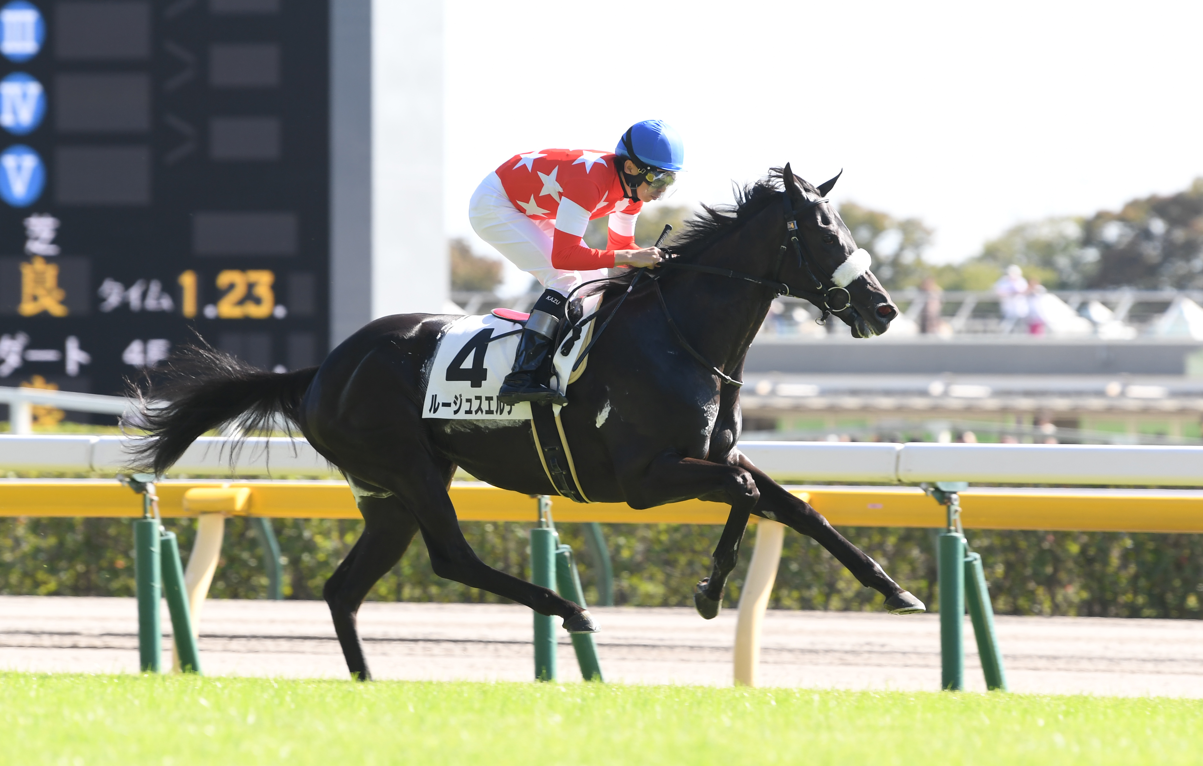 【２歳次走報】１勝クラスを楽勝したルージュスエルテは阪神ＪＦへ