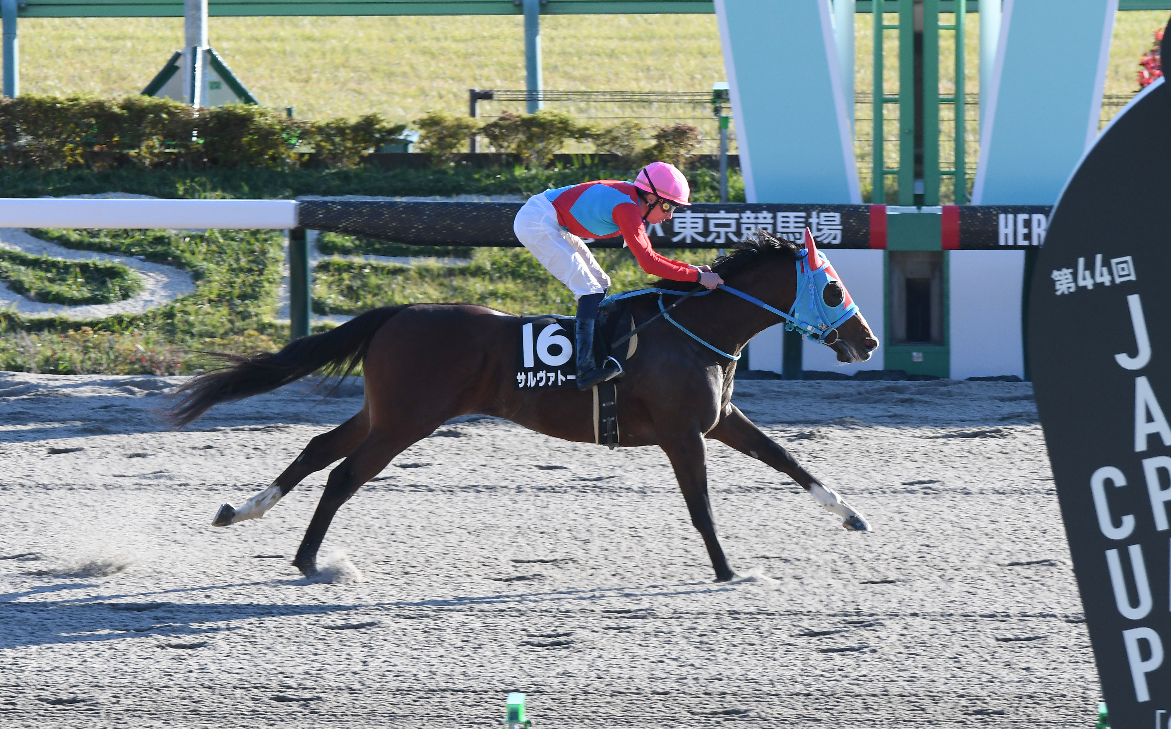 ヒロシのDeepな話】新装阪神のダートは差せる馬を積極的に狙うべき