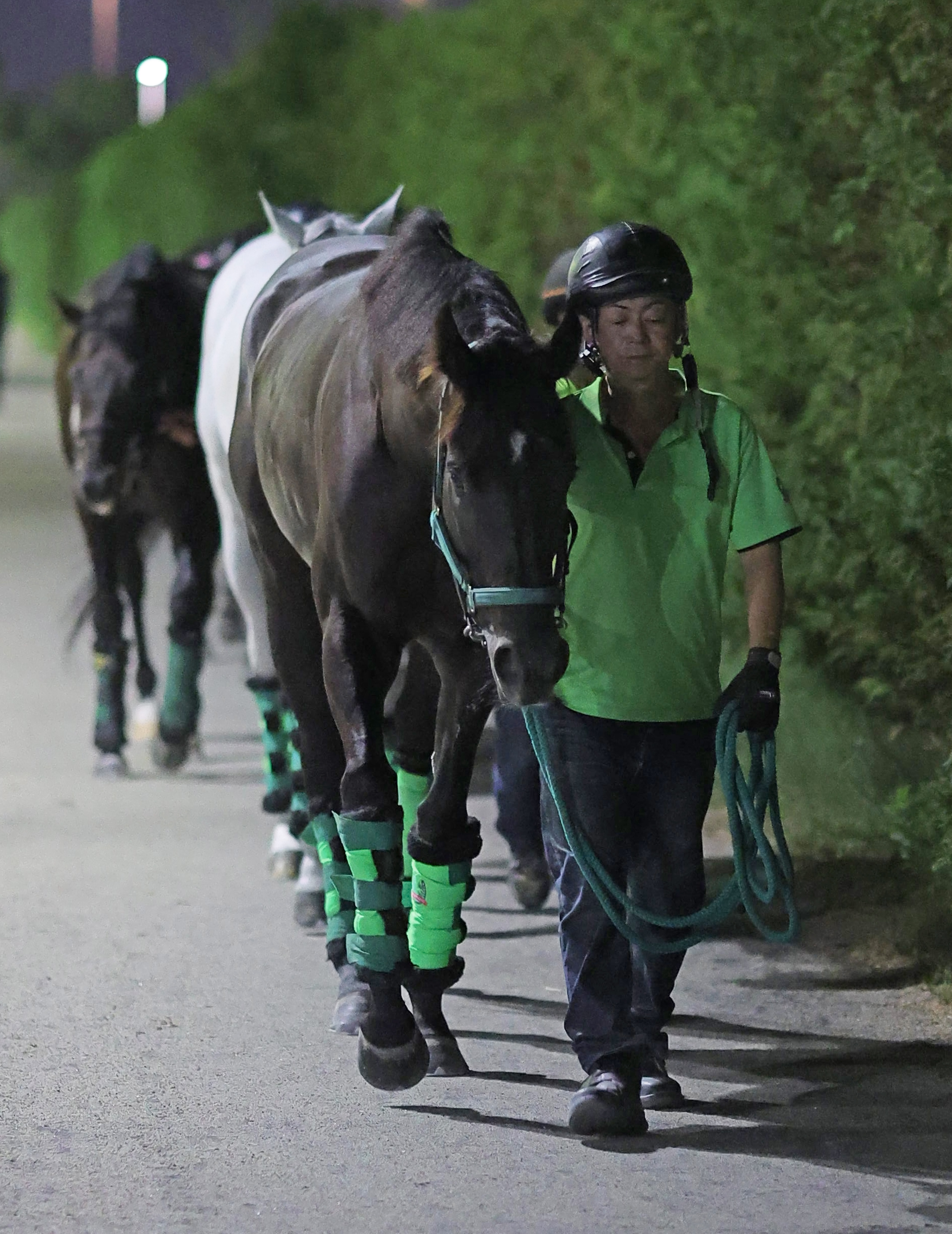 スプリンターズS】昨年の覇者・ルガルは➇枠⑮番、杉山晴師「昨年も外