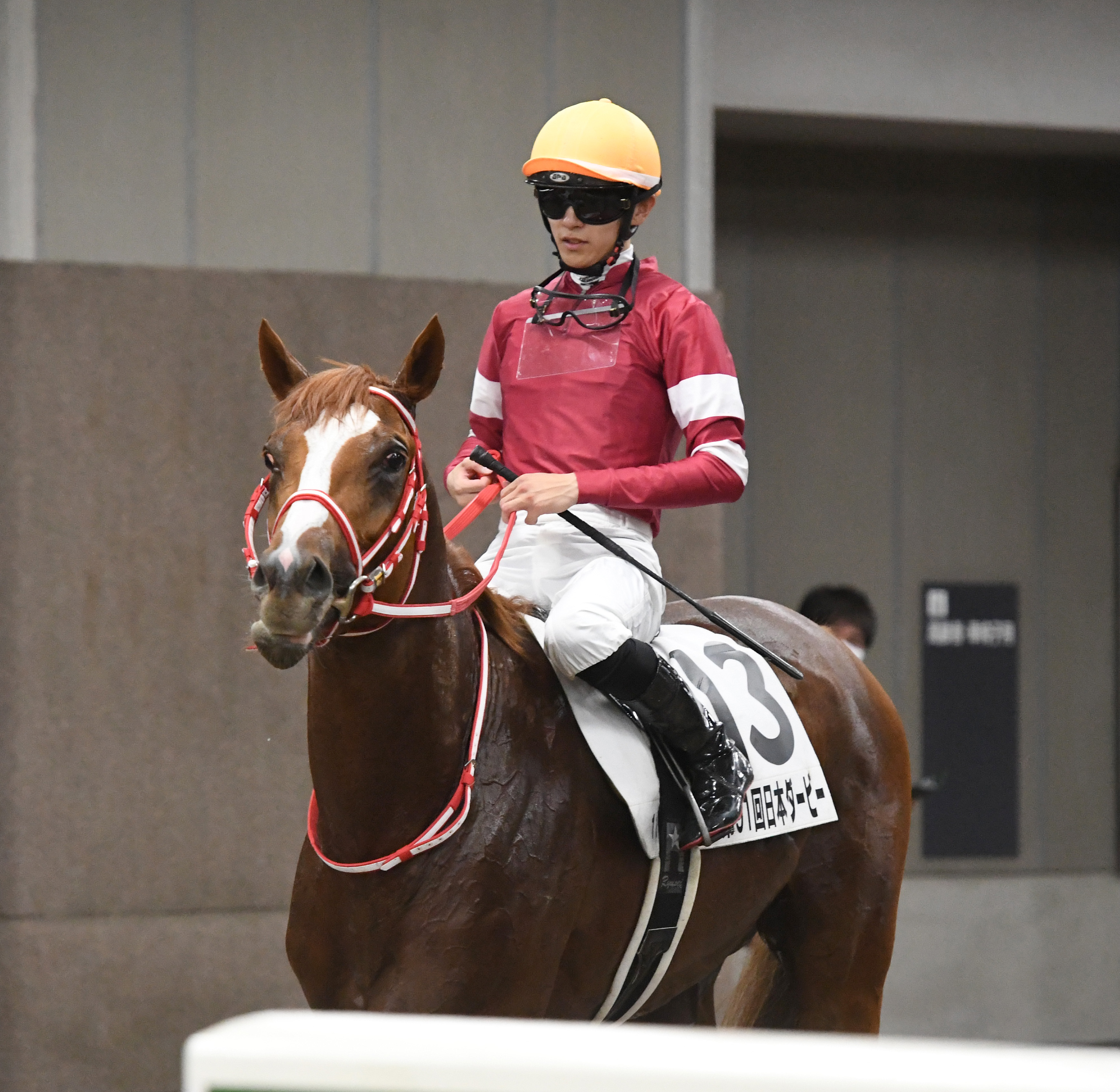 日本ダービー】シンエンペラーは力強い伸び脚も3着 坂井瑠星騎手 