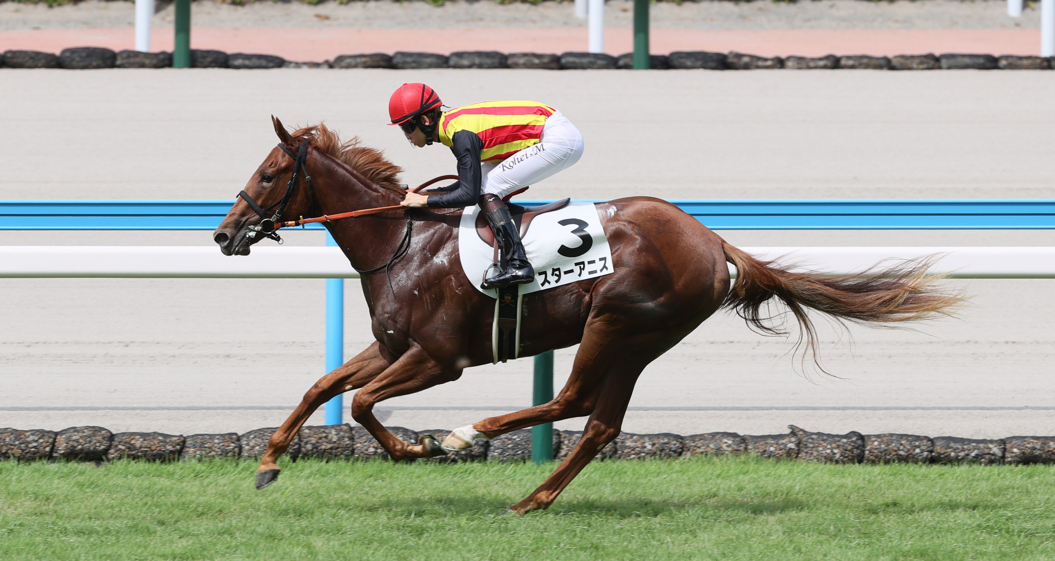 中国 加彩 騎馬人物 2歳未勝利・小倉1R】スターアニスが後続に7馬身差をつける快勝
