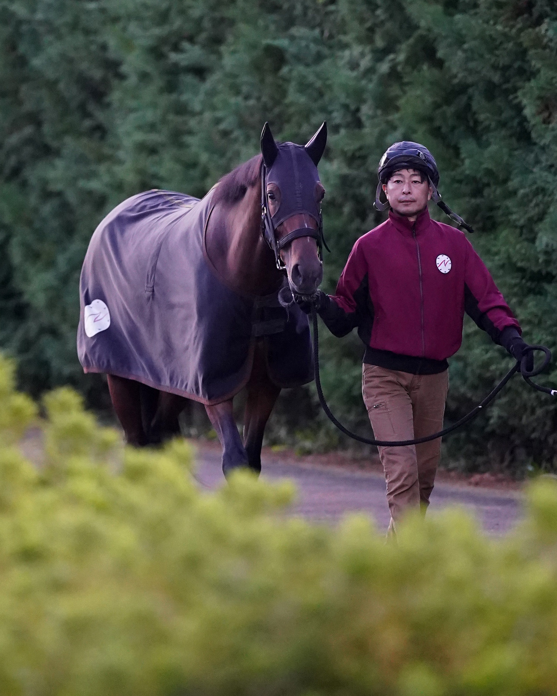 【秋華賞】リバティアイランドは厩舎周りで運動 史上７頭目の牝馬 ...