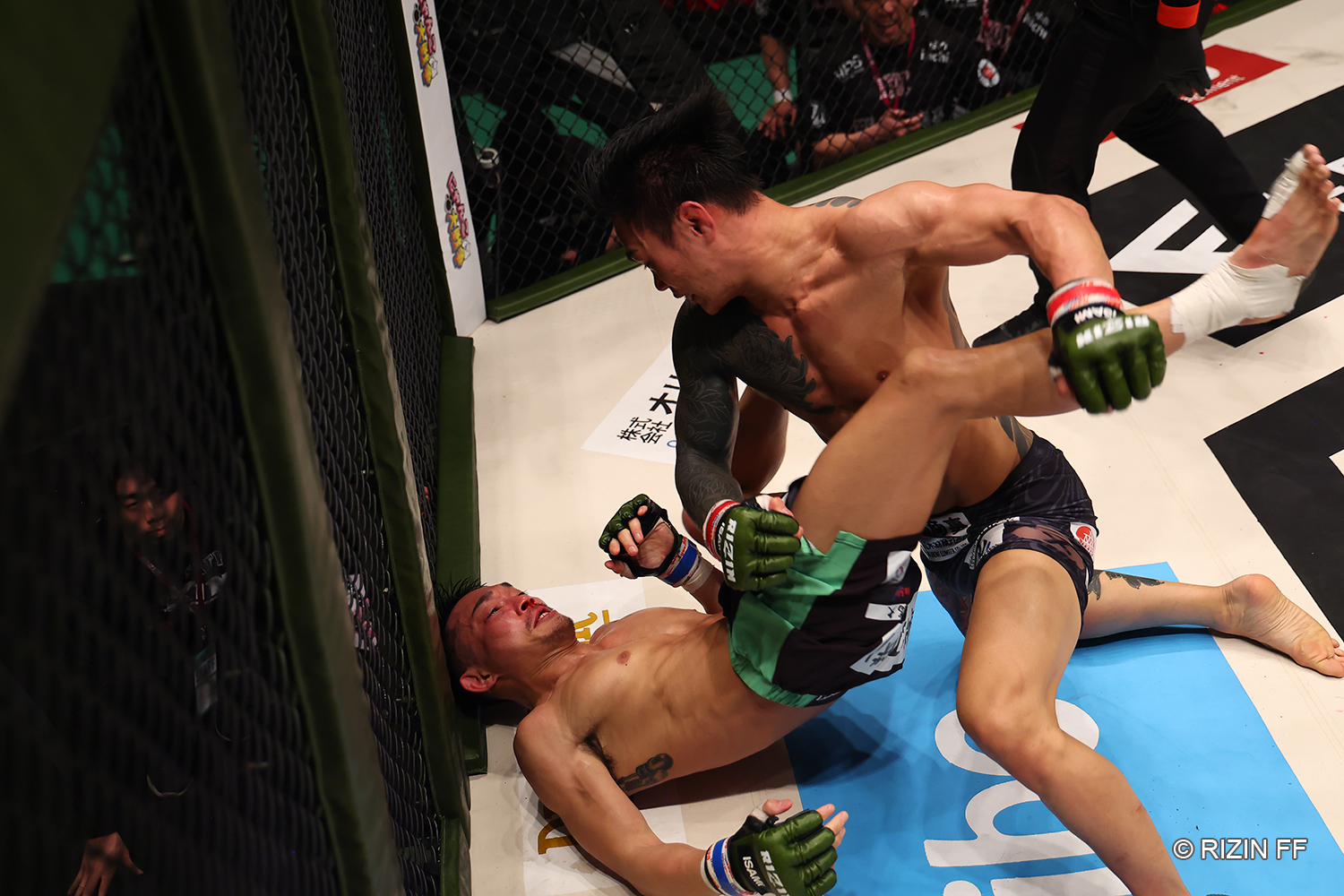 RIZIN】金太郎、イエローカード受けるも3度ダウン奪い圧倒