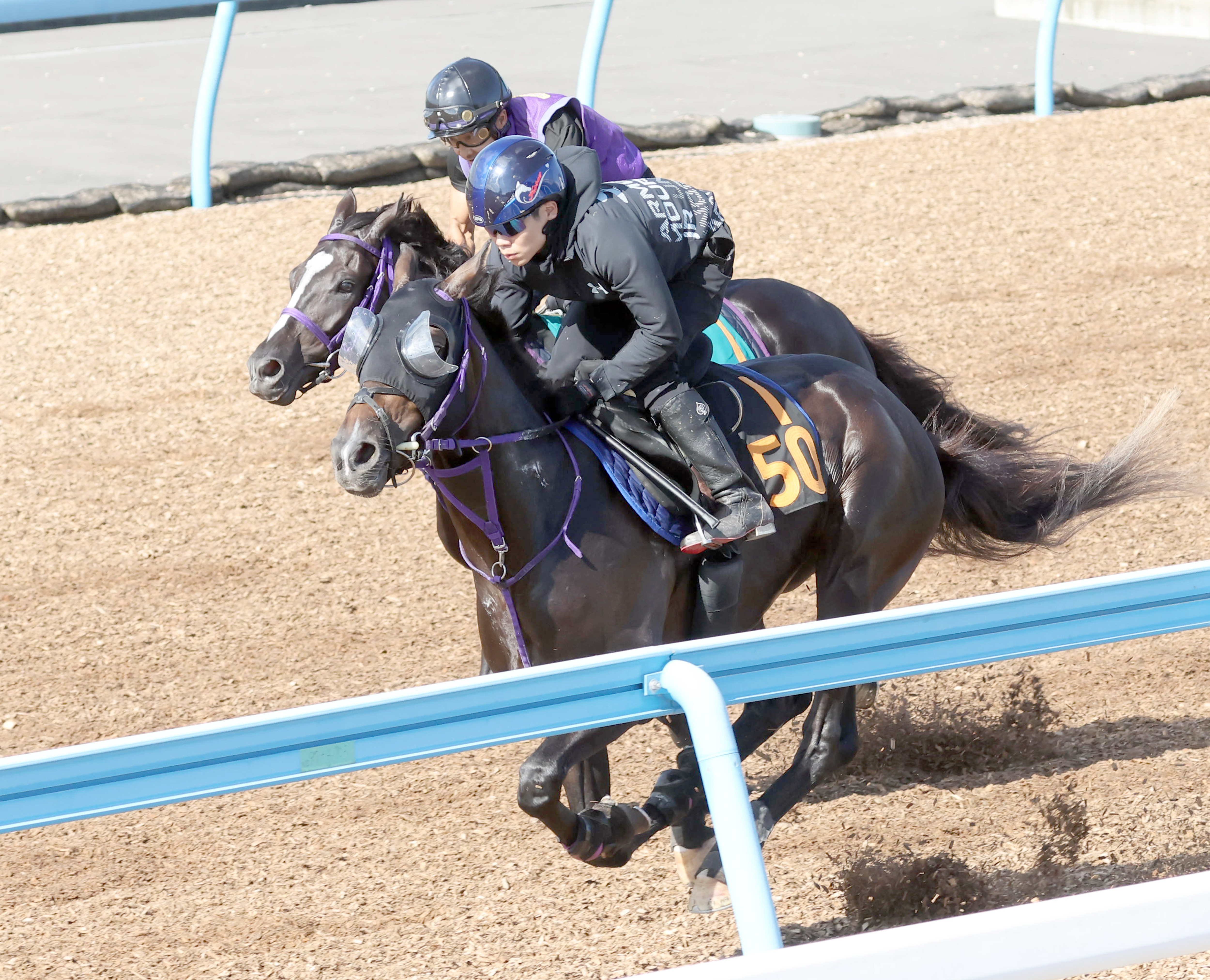 【セントライト記念】上昇ウインオーディン菊の権利獲得へ Ｗ ...