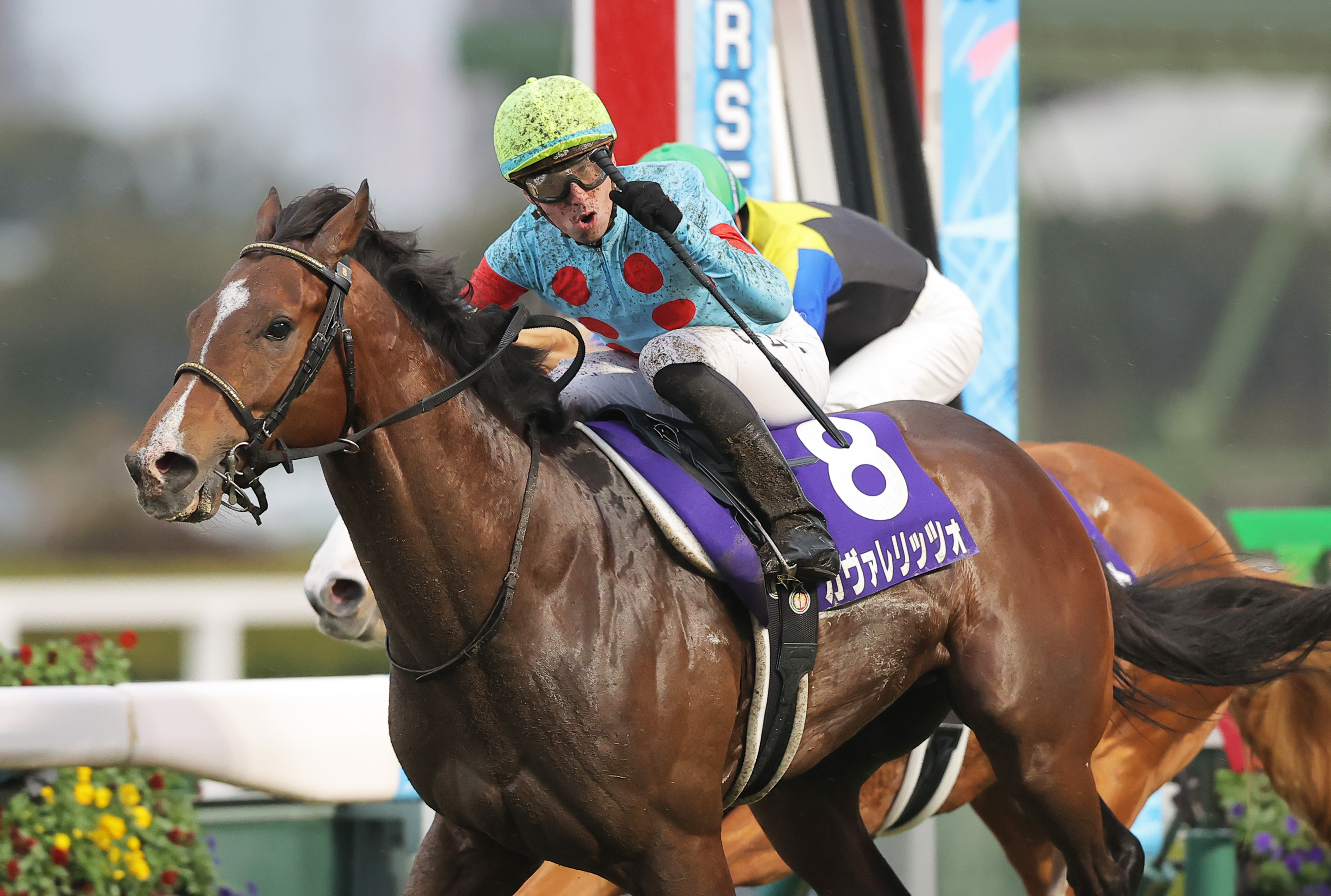 JRA賞】最優秀2歳牡馬はカヴァレリッツォ 吉岡師「伸びしろはまだまだ