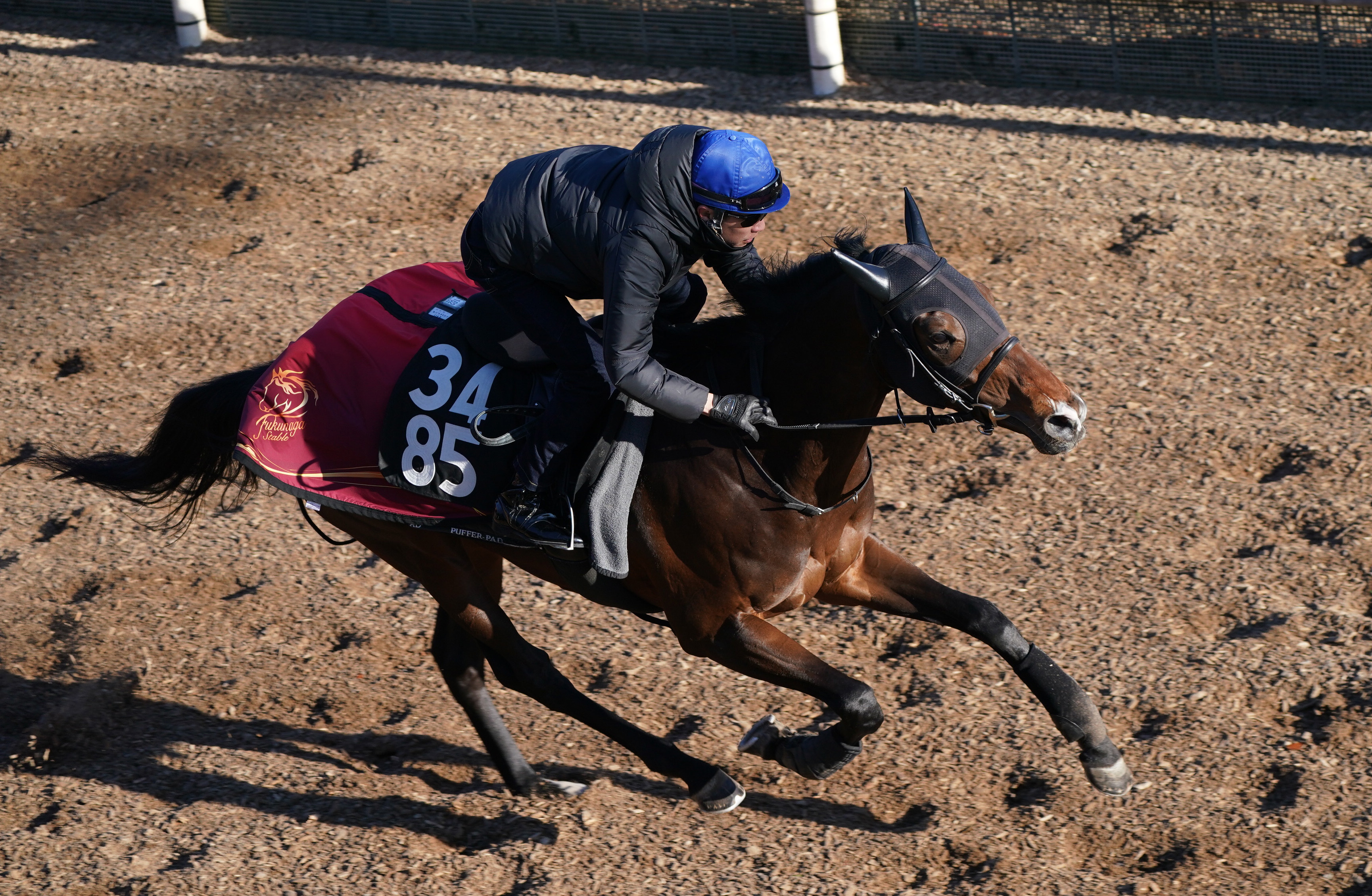 匿名 2014 JRA 札幌競馬場 グランドオープン記念 マフラータオル
