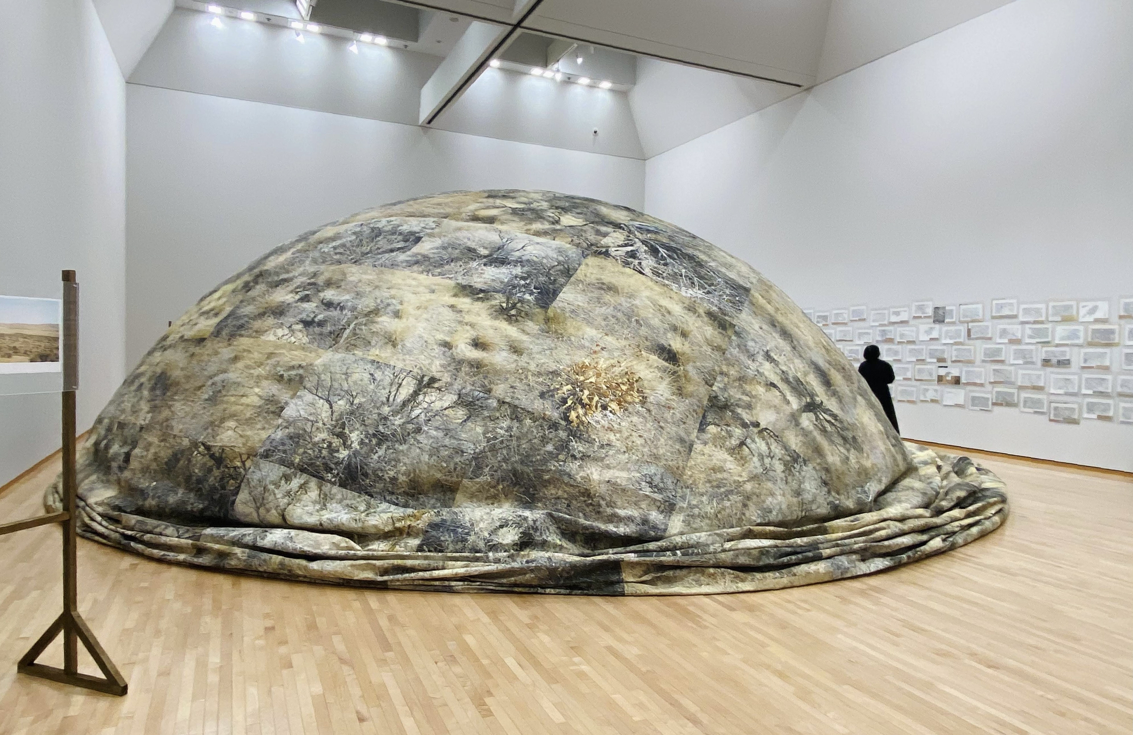 風船と象 489391183_7b914ea1-5551-49f4-