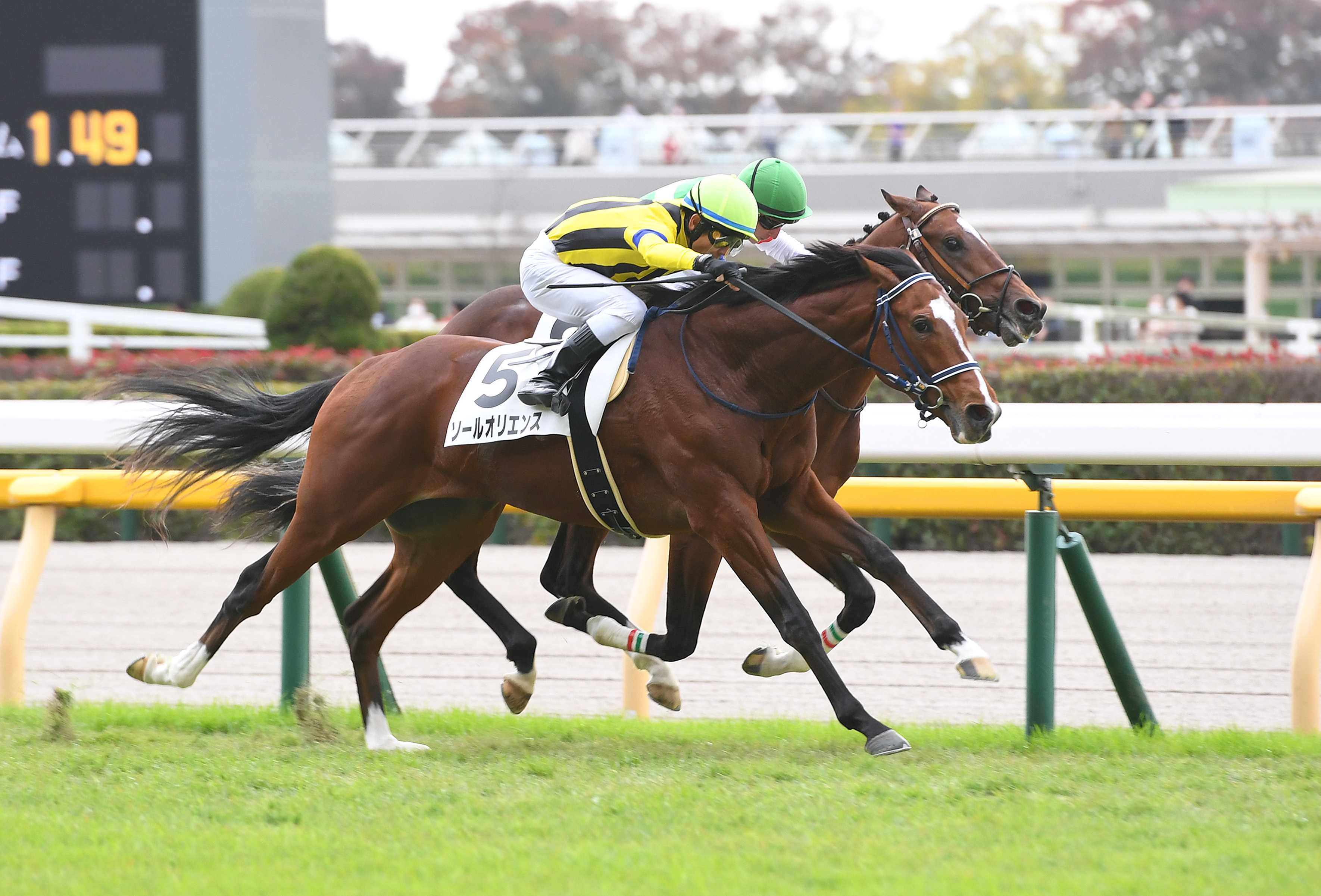 ソールオリエンス メイクデビュー東京 現地購入単勝馬券