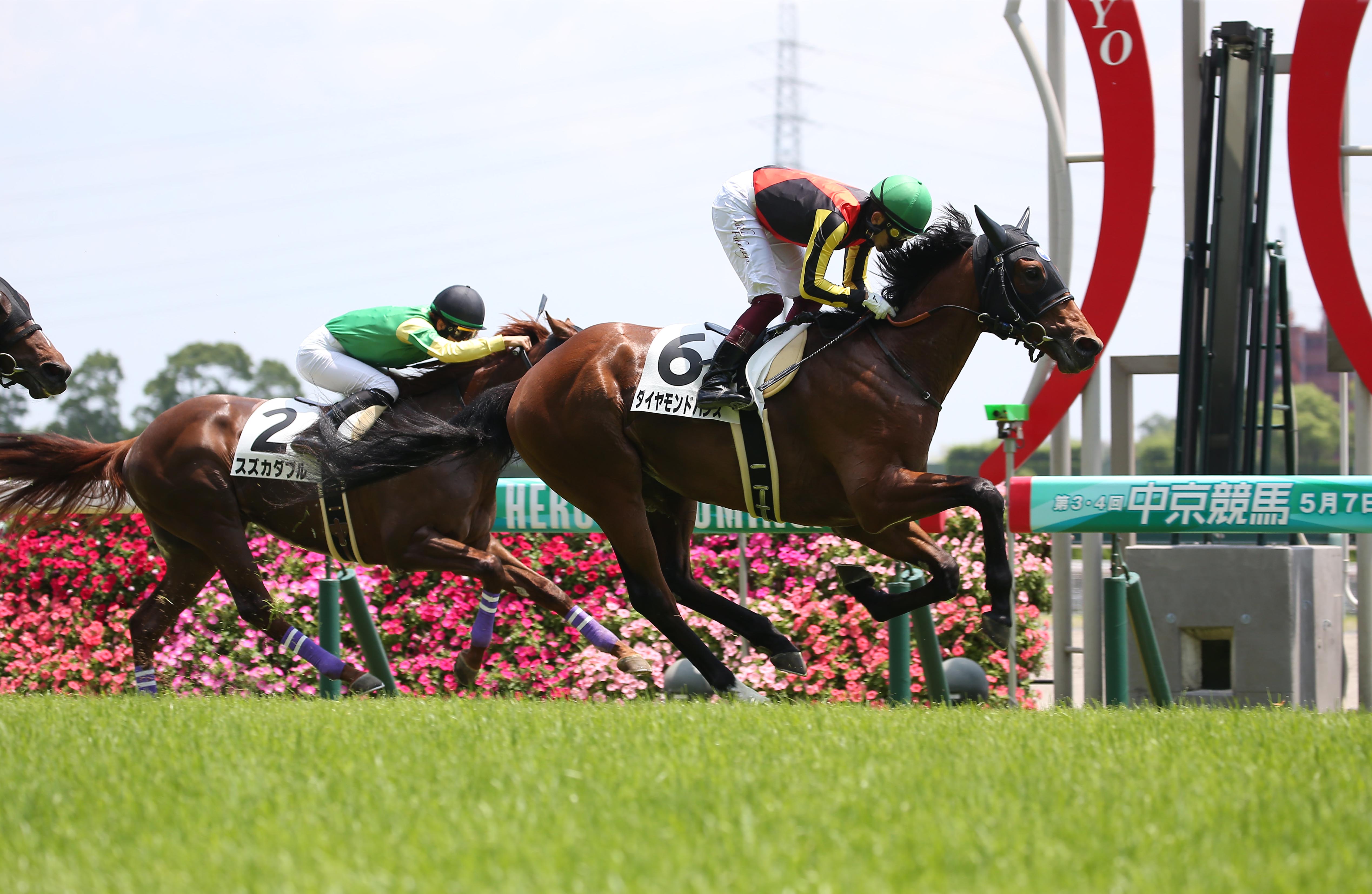 札幌２歳ｓ レース展望 サンスポzbat