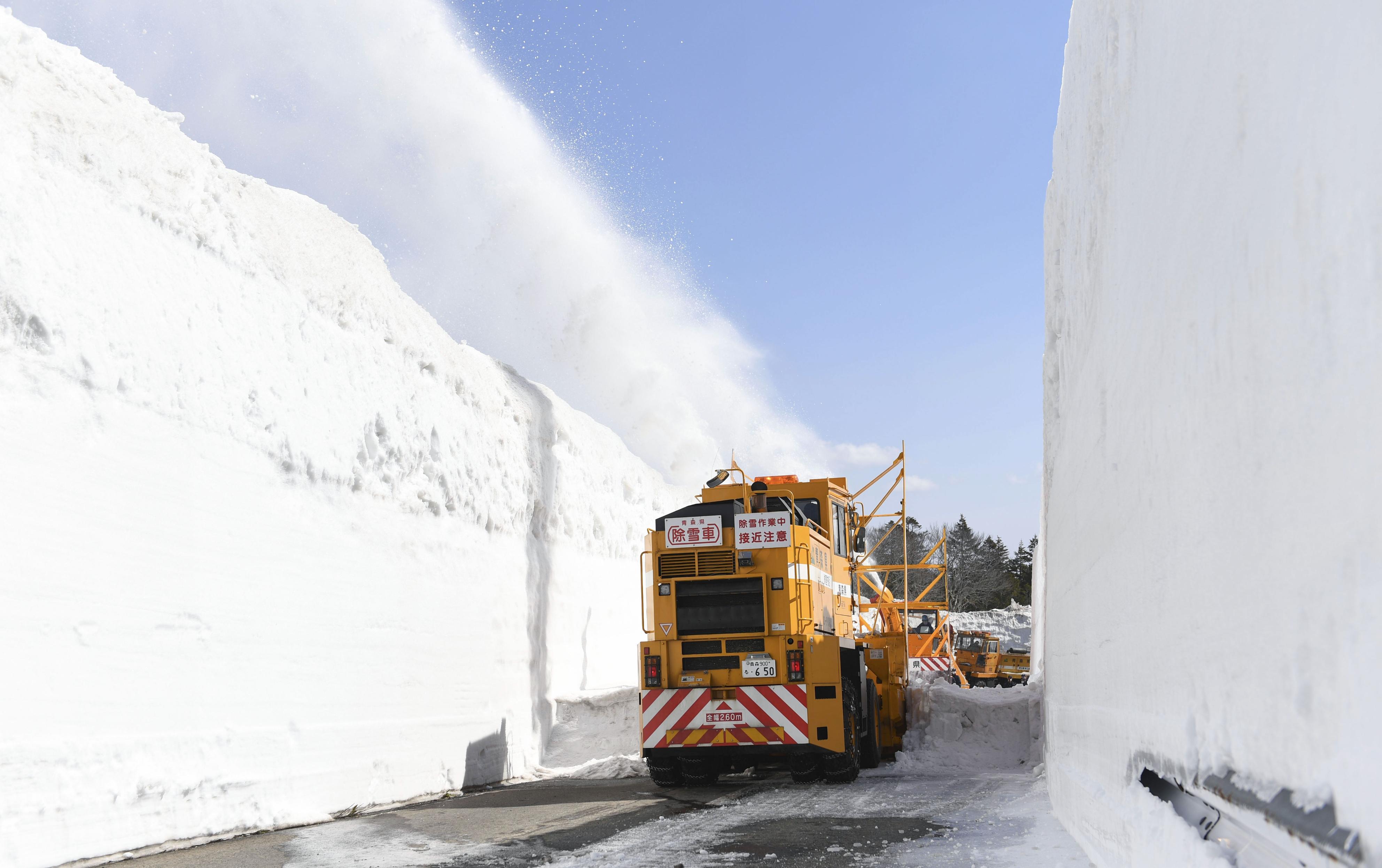 春告げる「雪の回廊」開通 青森と十和田結ぶ8キロ - 産経ニュース