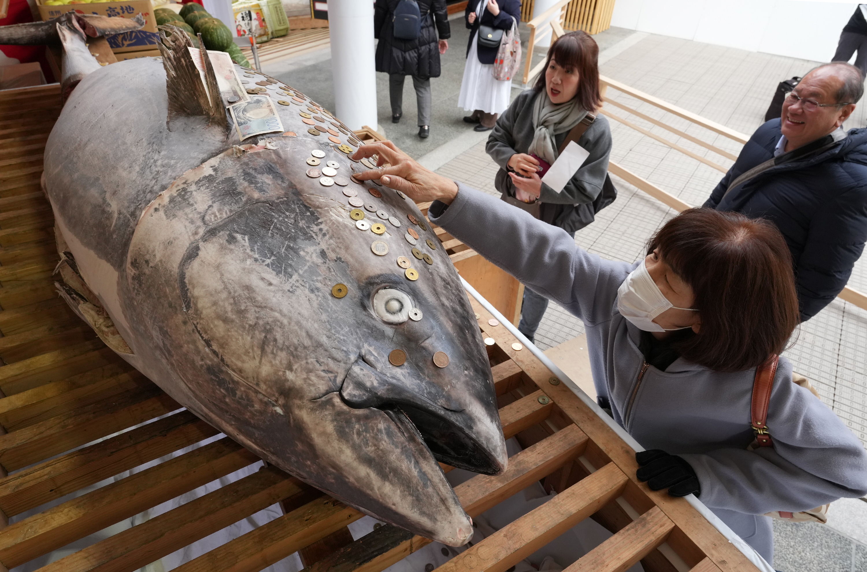 商売繁盛願い270キロのマグロ奉納 賽銭張り付け「お金が身に付く