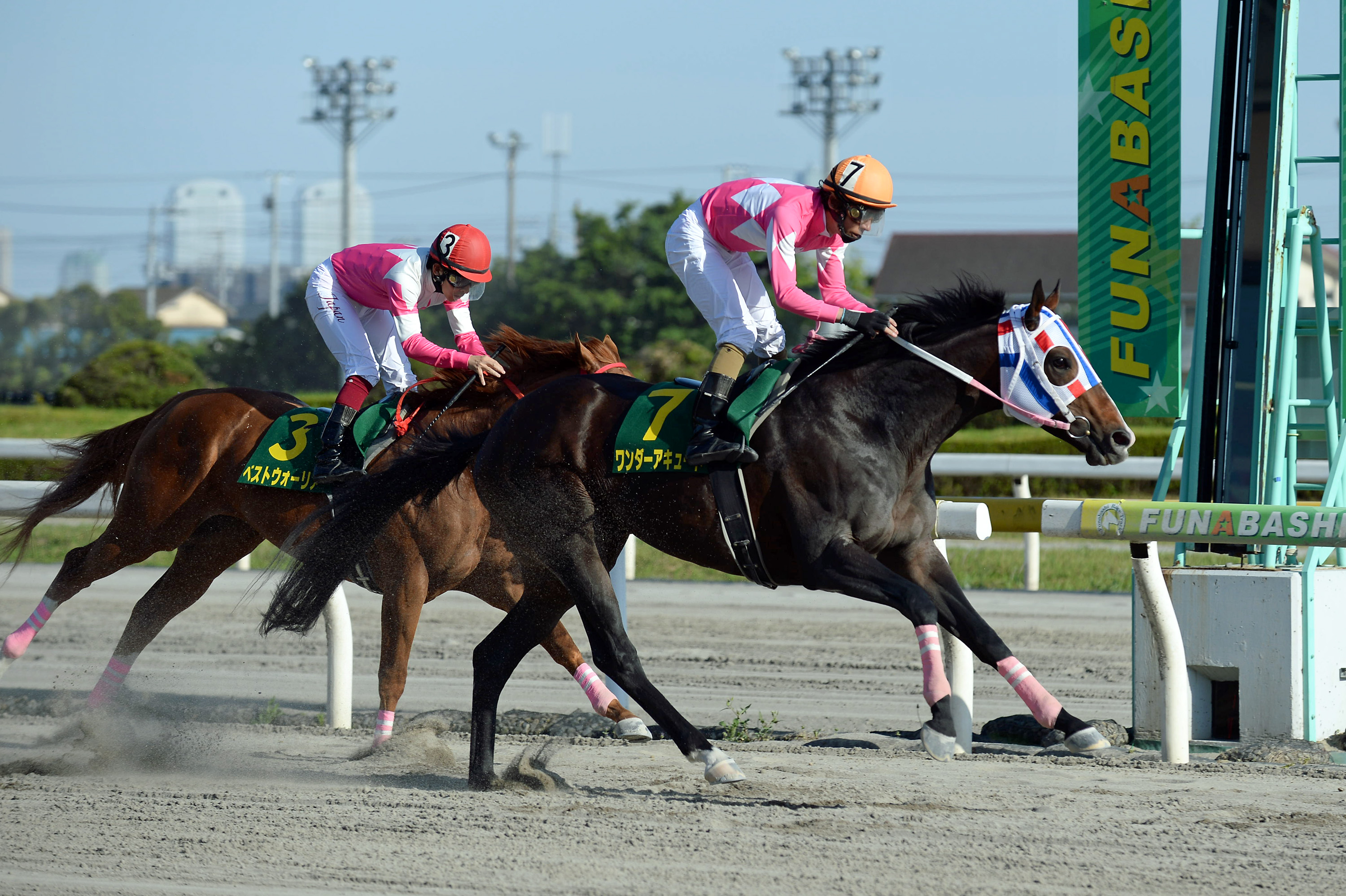 ワンダーアキュートが種牡馬を引退し、新天地ヴェルサイユリゾート