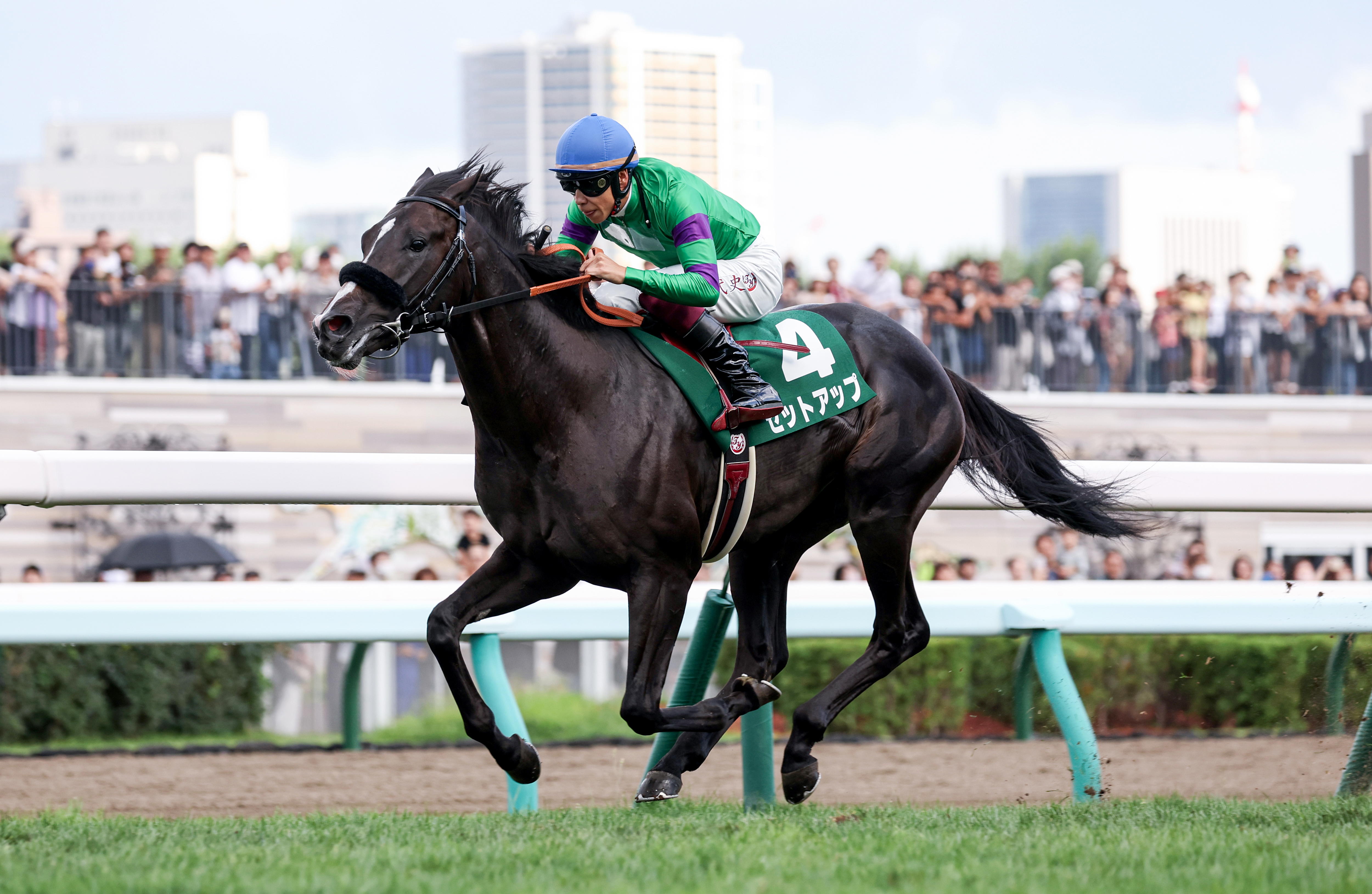 札幌2歳S勝ち馬セットアップが乗馬に - サンスポZBAT!