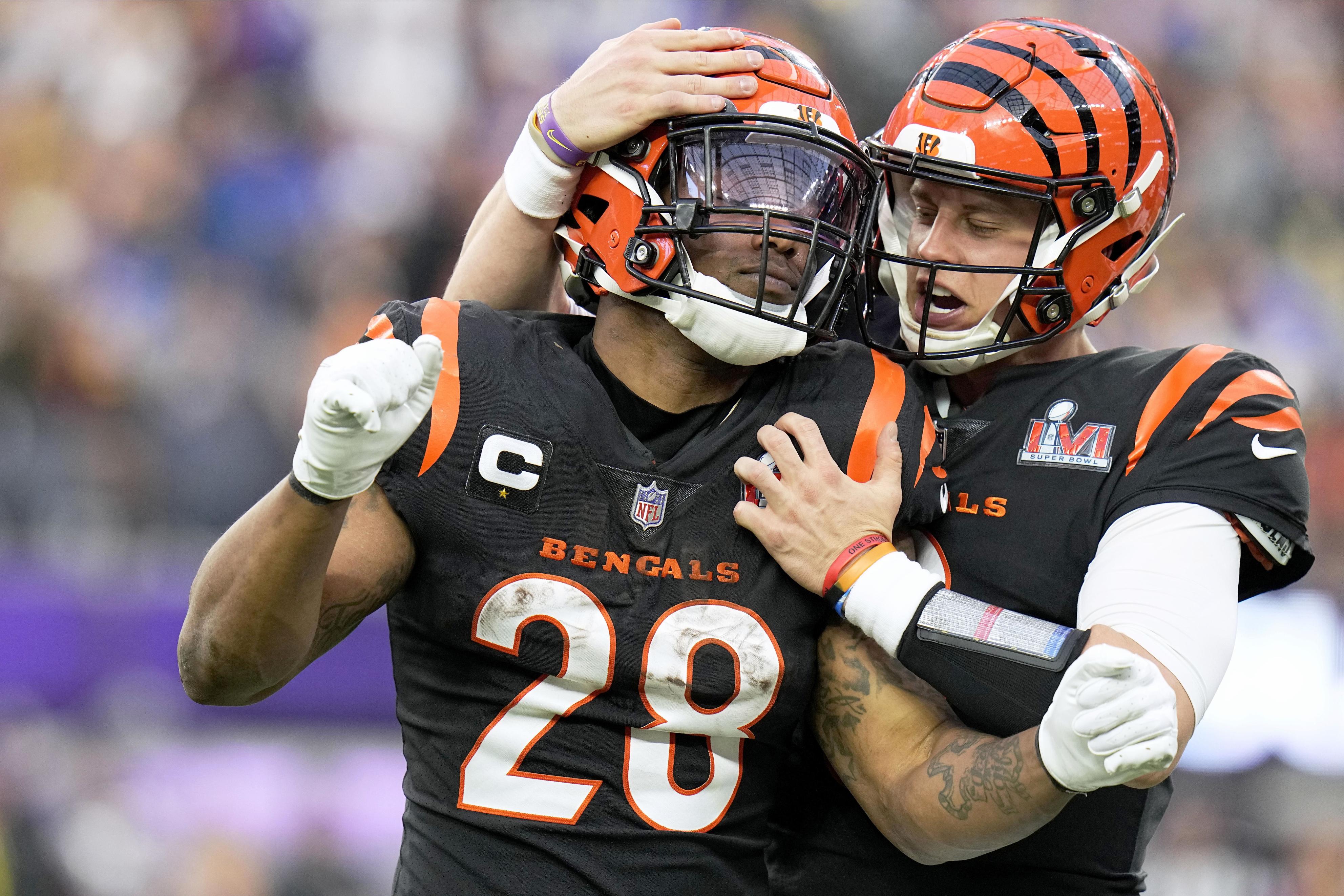 当店だけの限定モデル NFL ベンガルス BENGALS マグカップ zppsu.edu.ph