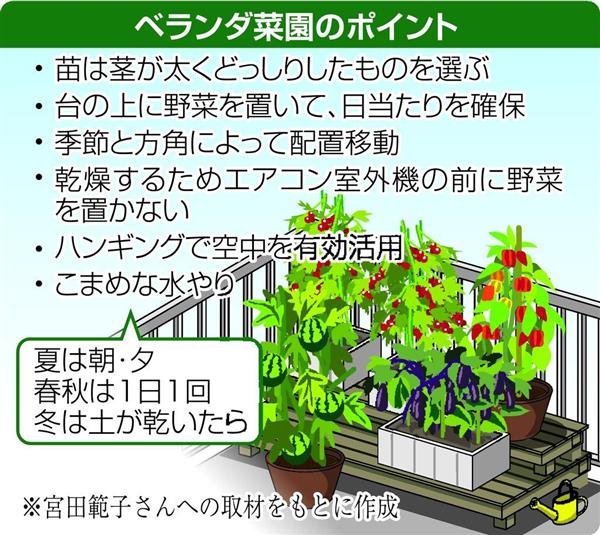 暮らしのハテナ 進化するベランダ農園 スイカにメロン ゴボウも作れます 2 3ページ 産経ニュース