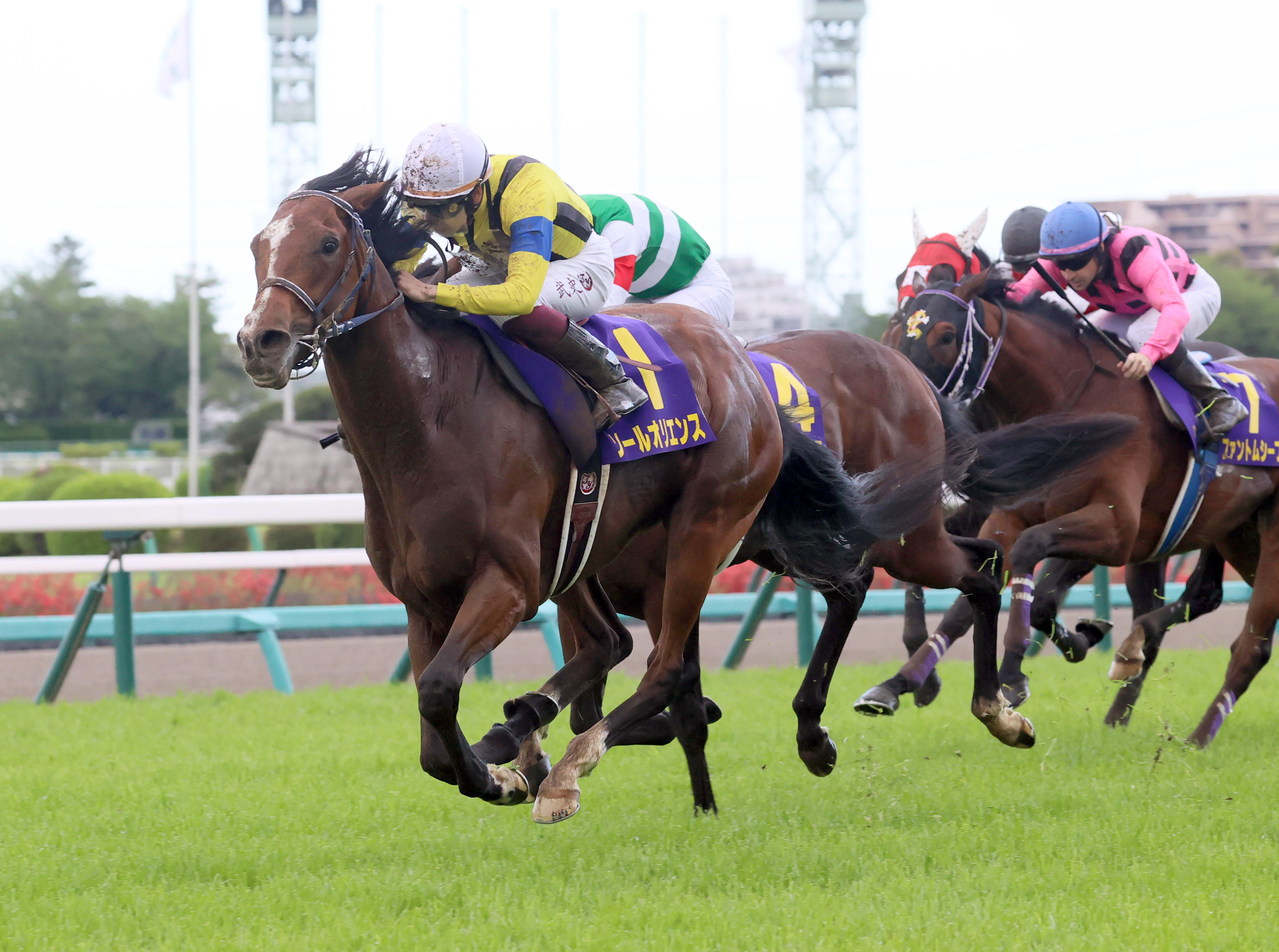 ソールオリエンスが現役引退 種牡馬入り - サンスポZBAT!