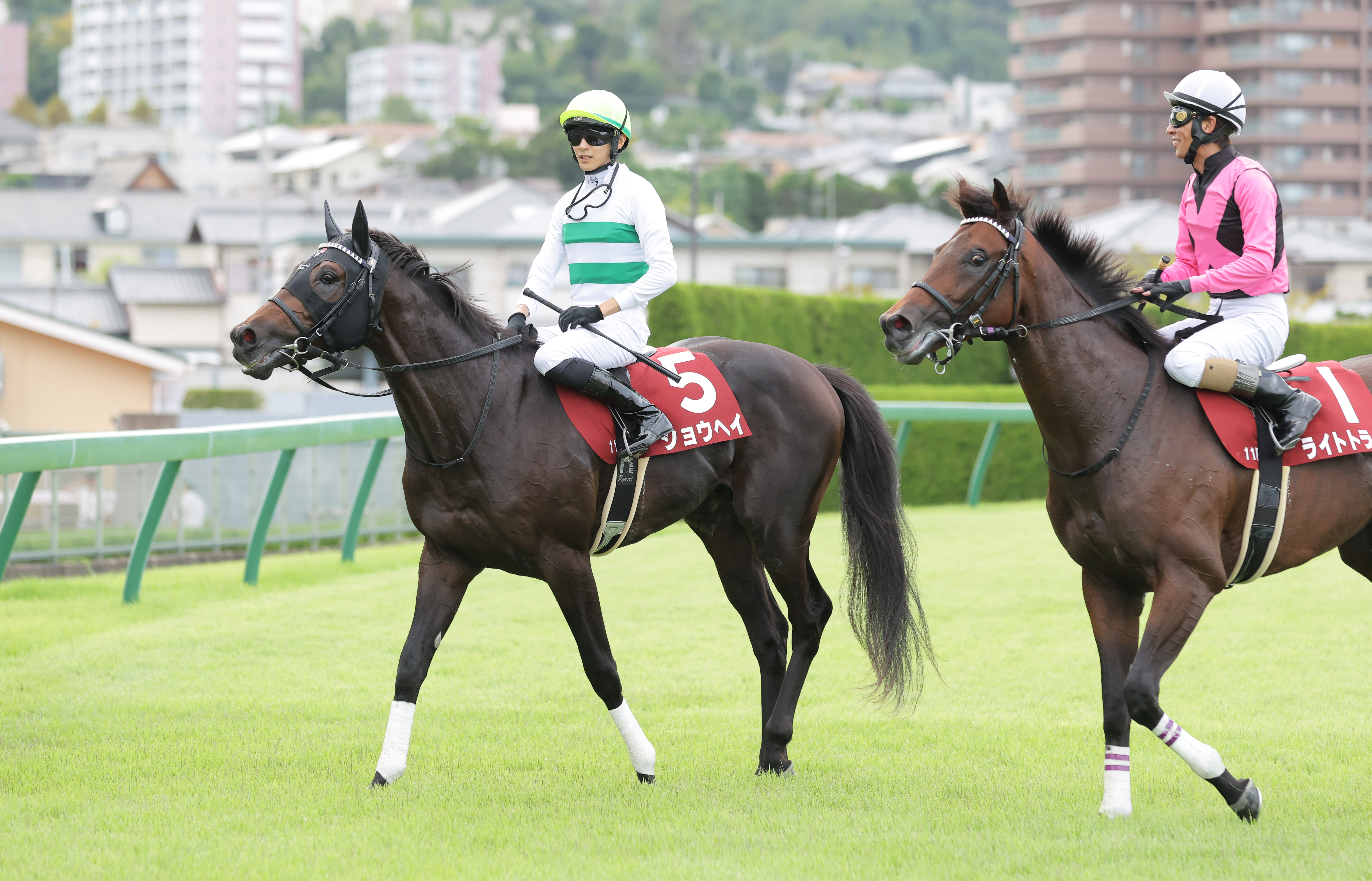 李朝初期 堅手盃 勝見さん旧蔵のカード付き 李朝初期