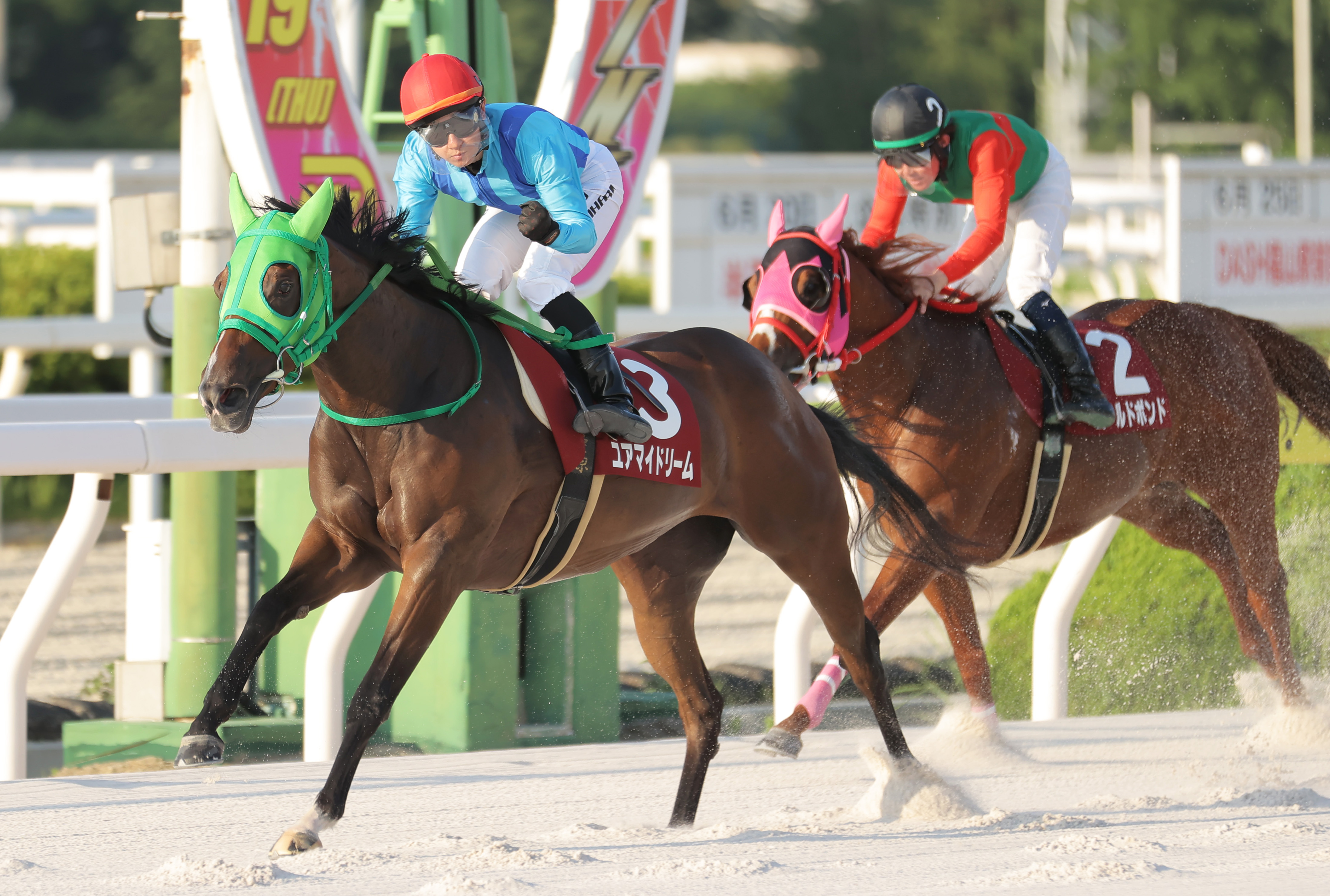 園田FCスプリント】ユアマイドリーム重賞初V 吉原寛人騎手「本当に