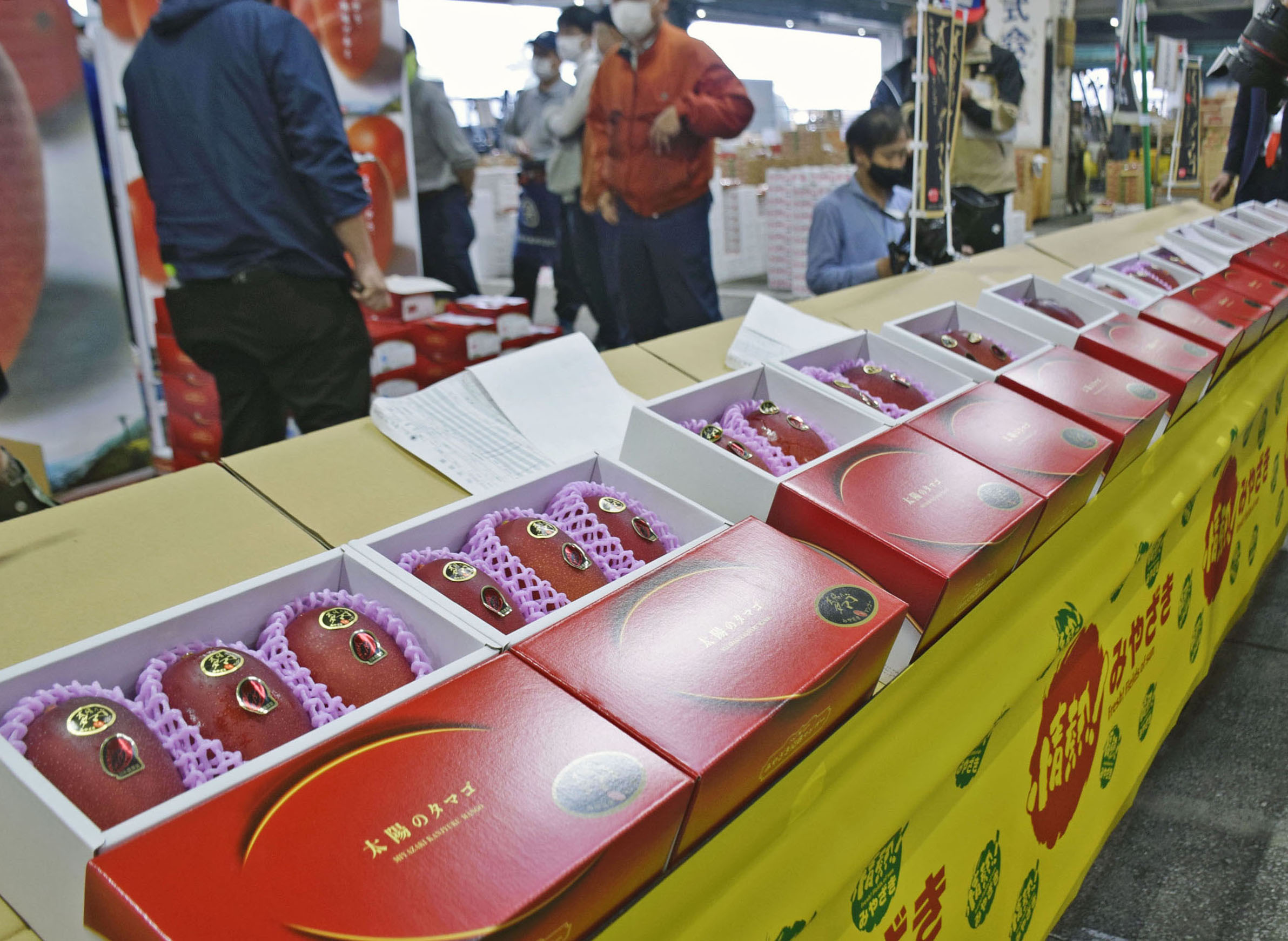 宮崎マンゴー50万円 最上級「太陽のタマゴ」初競り - 産経ニュース