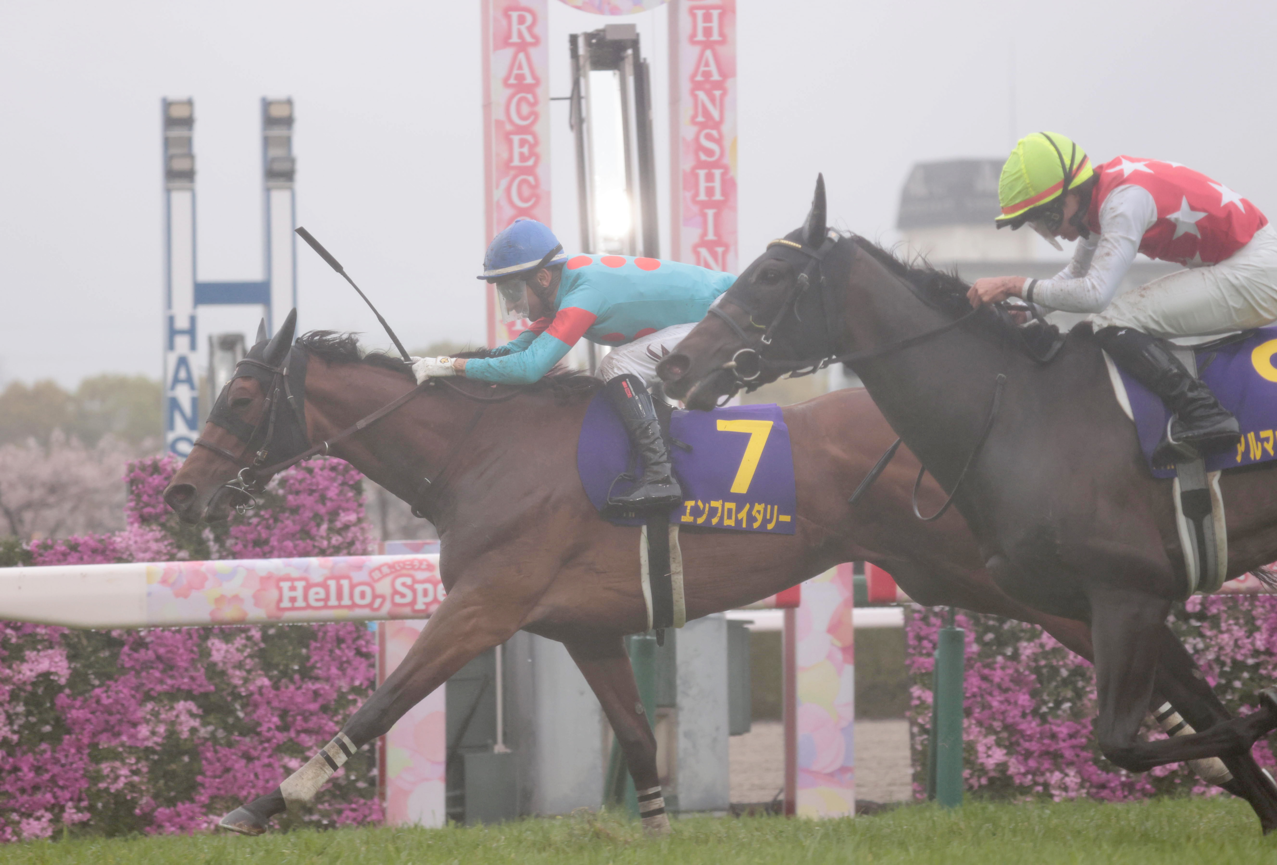 エンブロイダリーはサンスポ杯阪神牝馬Sから始動し、マイルGⅠへ