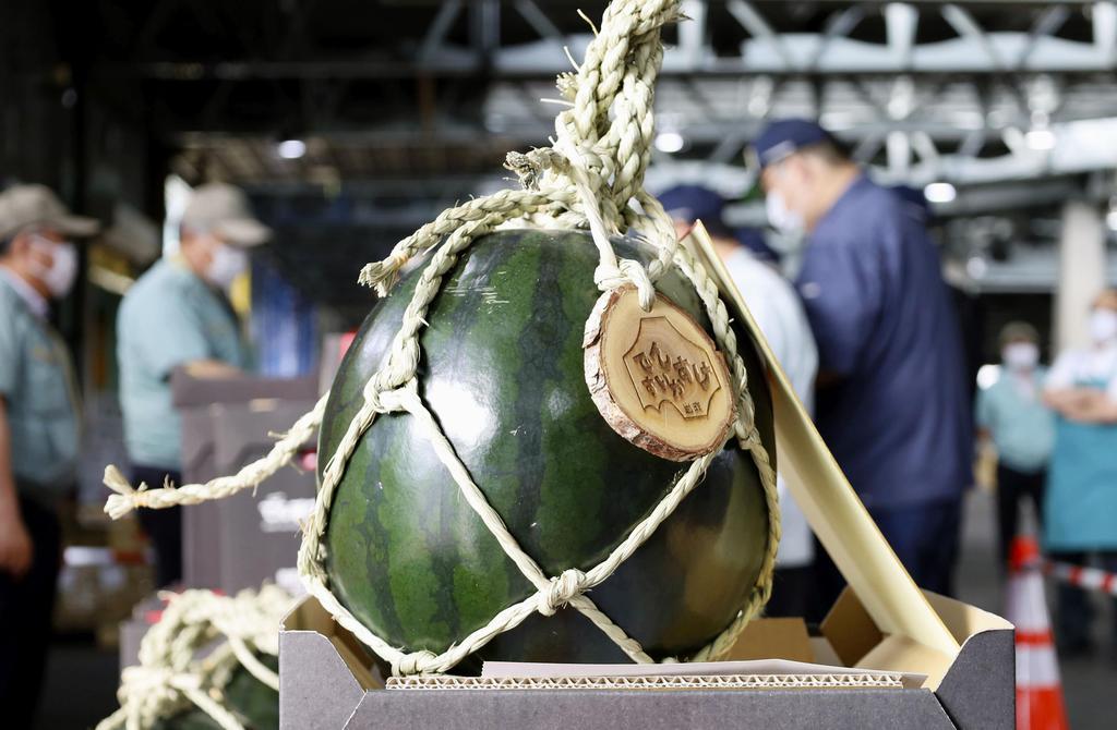 でんすけすいか1玉22万円 3分の1以下に、北海道 - 産経ニュース
