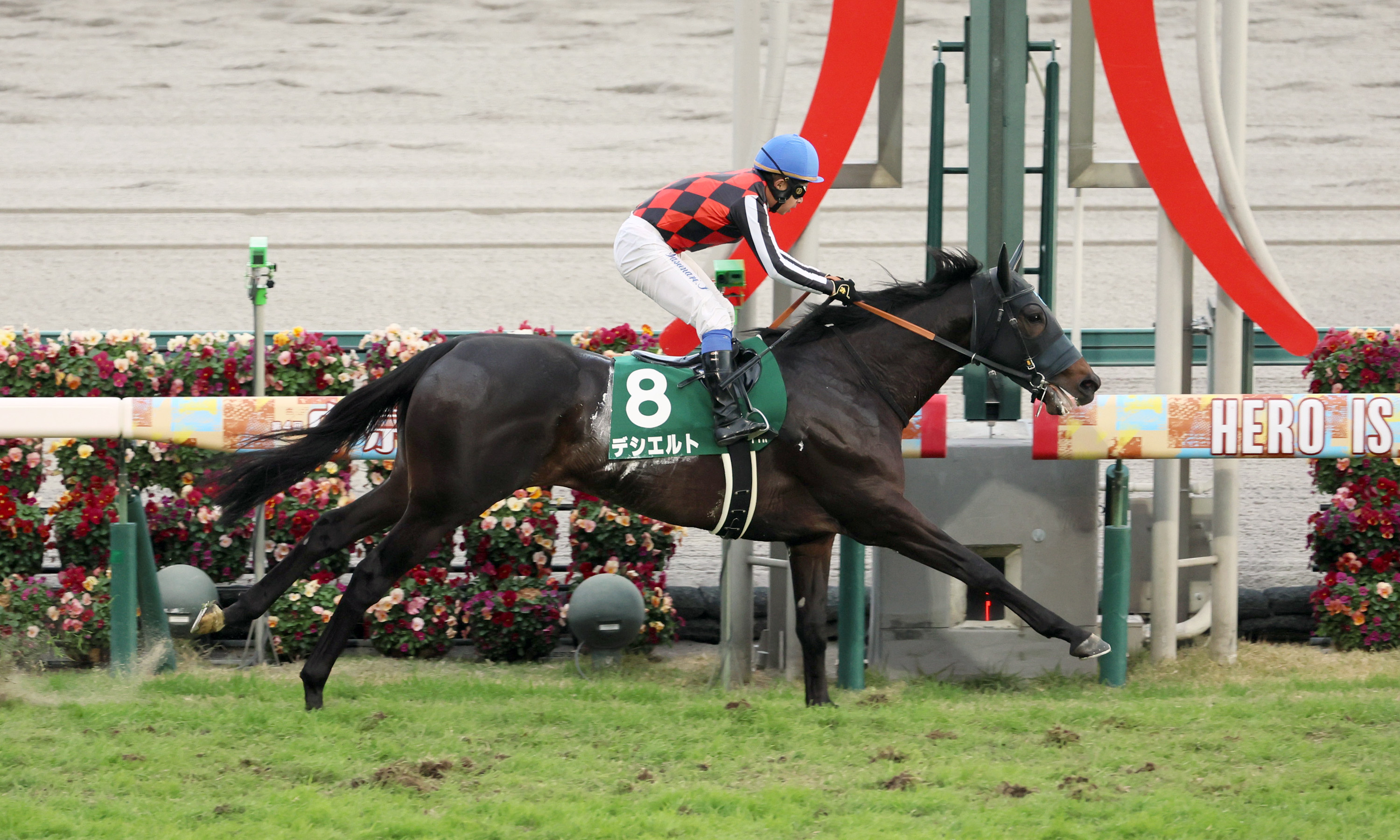 中日新聞杯】デシエルトがマイペース逃げで快勝！芝に戻り連勝で重賞初