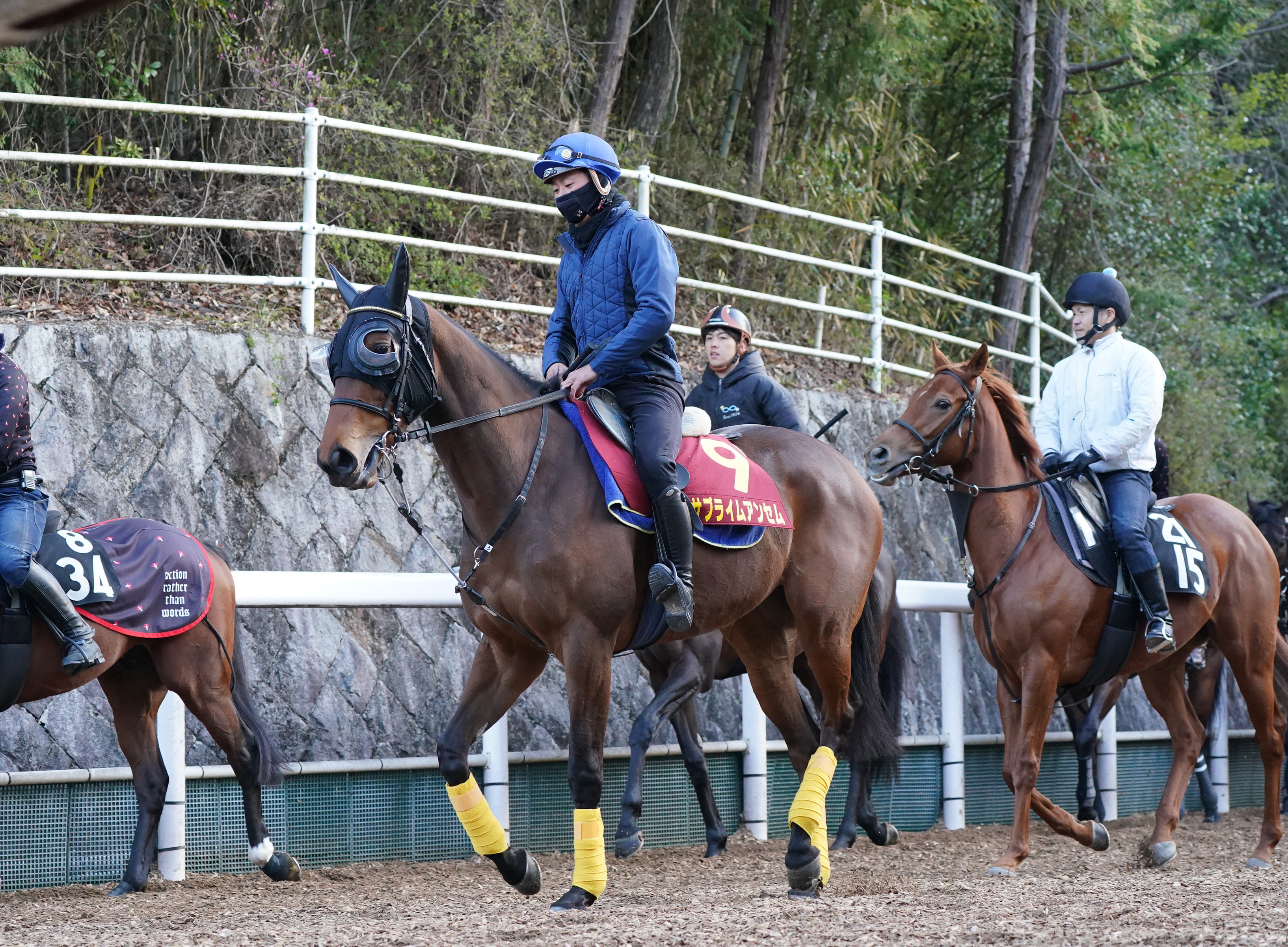 福永祐一 騎手 GI初勝利 プリモディーネ コピー 馬券 - www.vetrepro.fr 限定販売格安 ダーカーのカット用特注ラケット&DNA プラチナXH その他