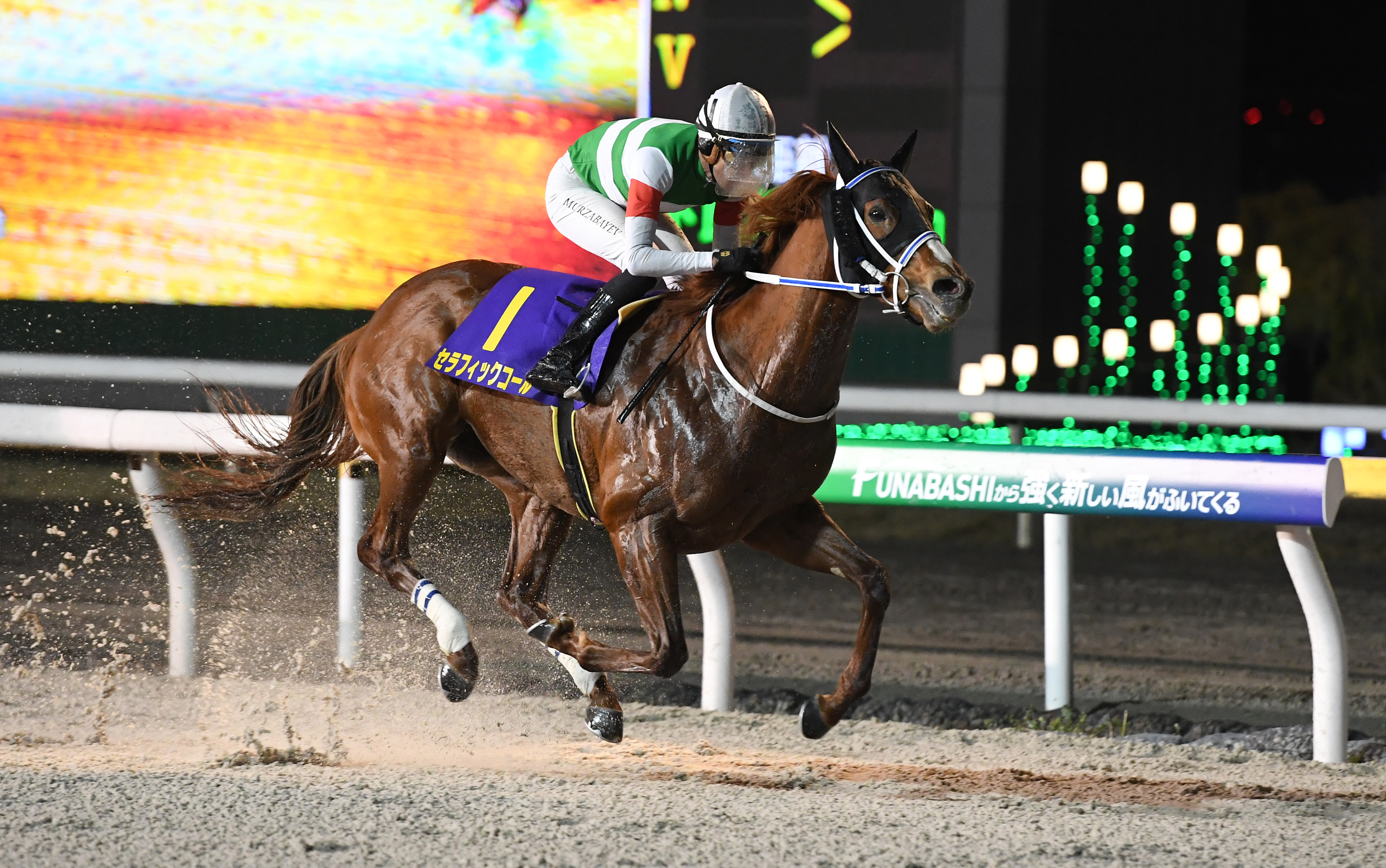 キャロットクラブ　アイドルホース　セラフィックコール　ダイオライト記念 キャロットクラブ アイドルホース セラフィックコール