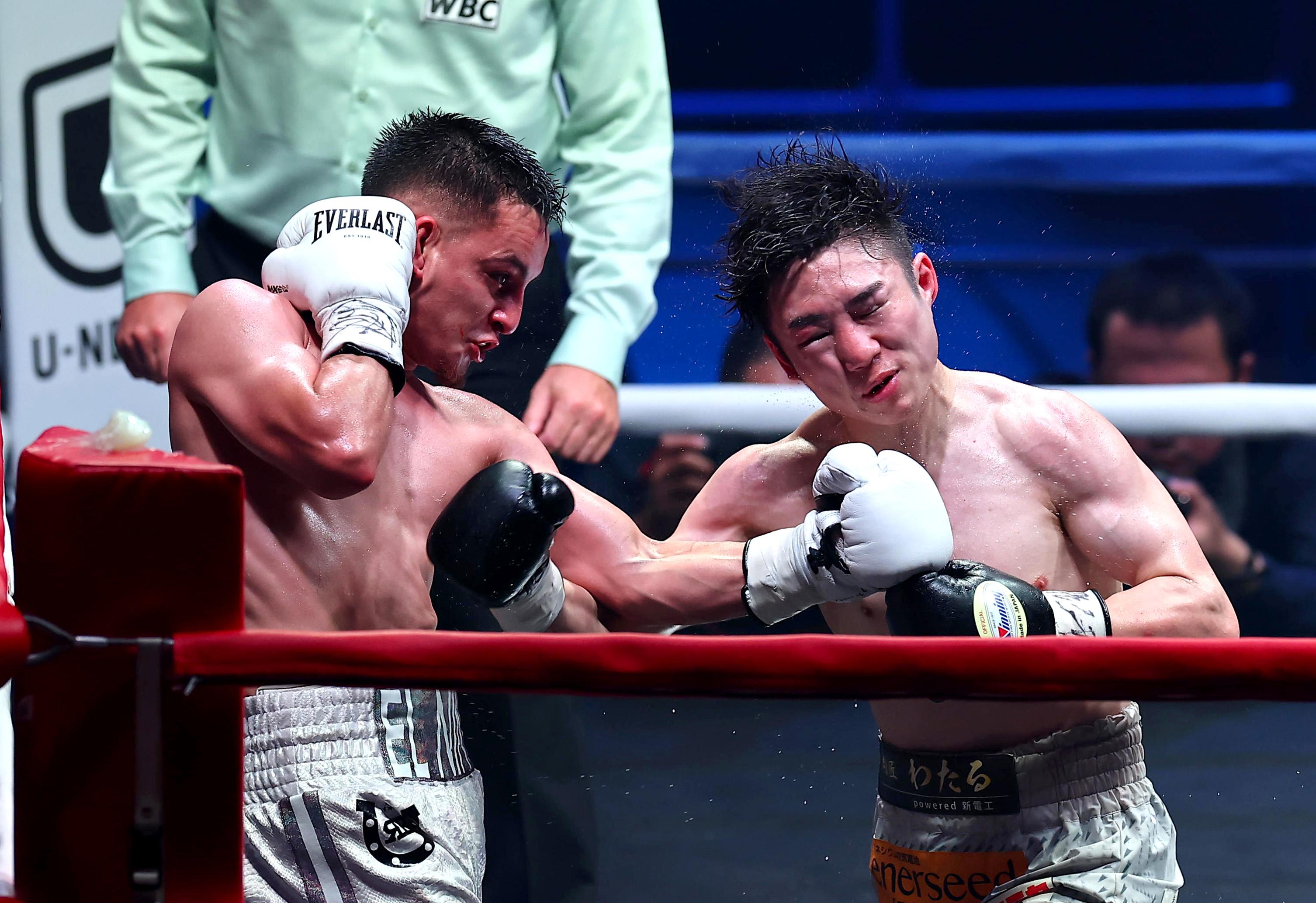 京口 紘人 サイン入り ボクシンググローブ 京口紘人選手のサイン入りミットとボクシンググローブを