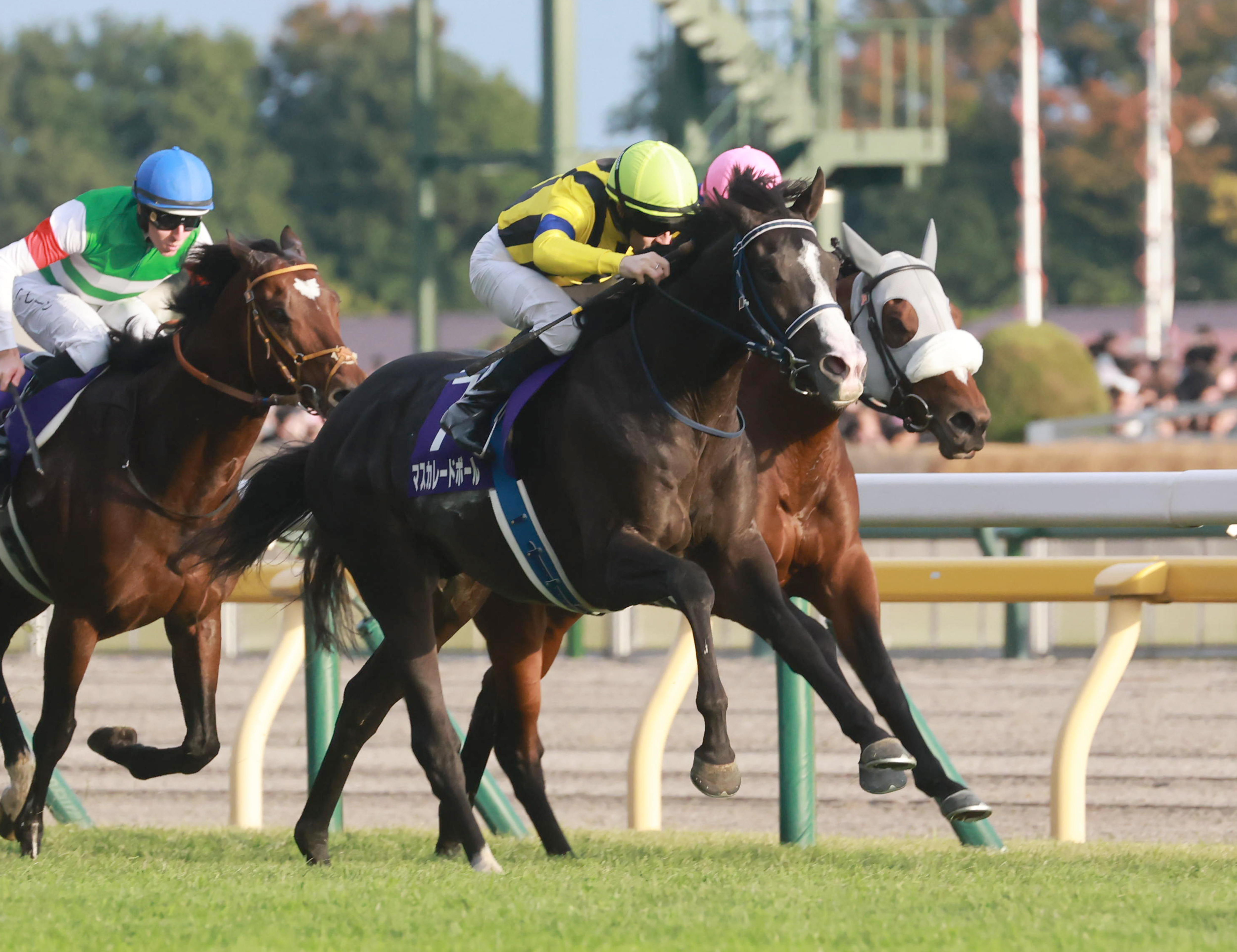 競馬　馬　５体セット マスカレードボールの〝キングジョージ〟参戦を正式表明 ヴェルテ