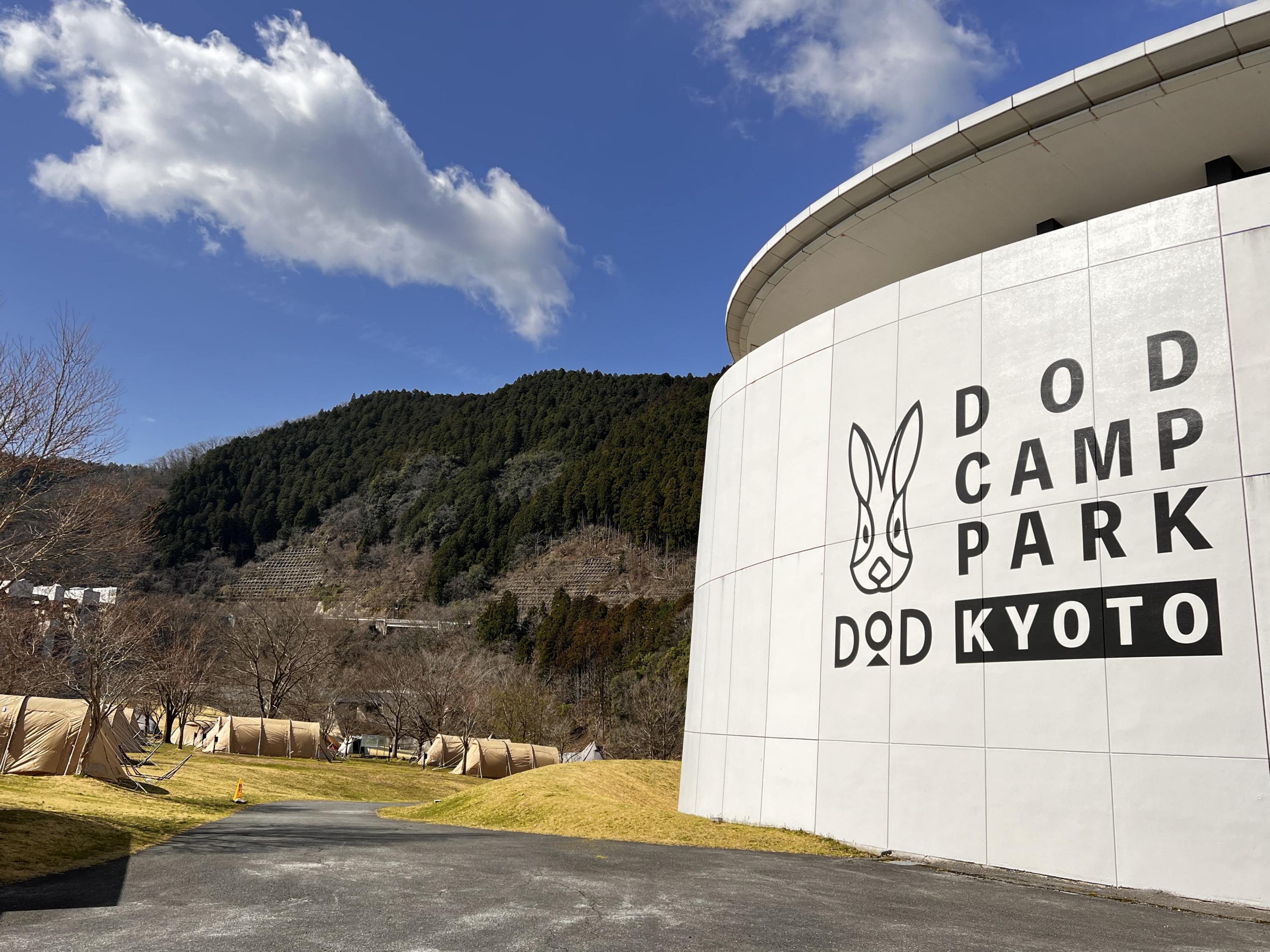 DOD ウサギロゴ まとめ売り 000000000339-01-l.jpg?t=