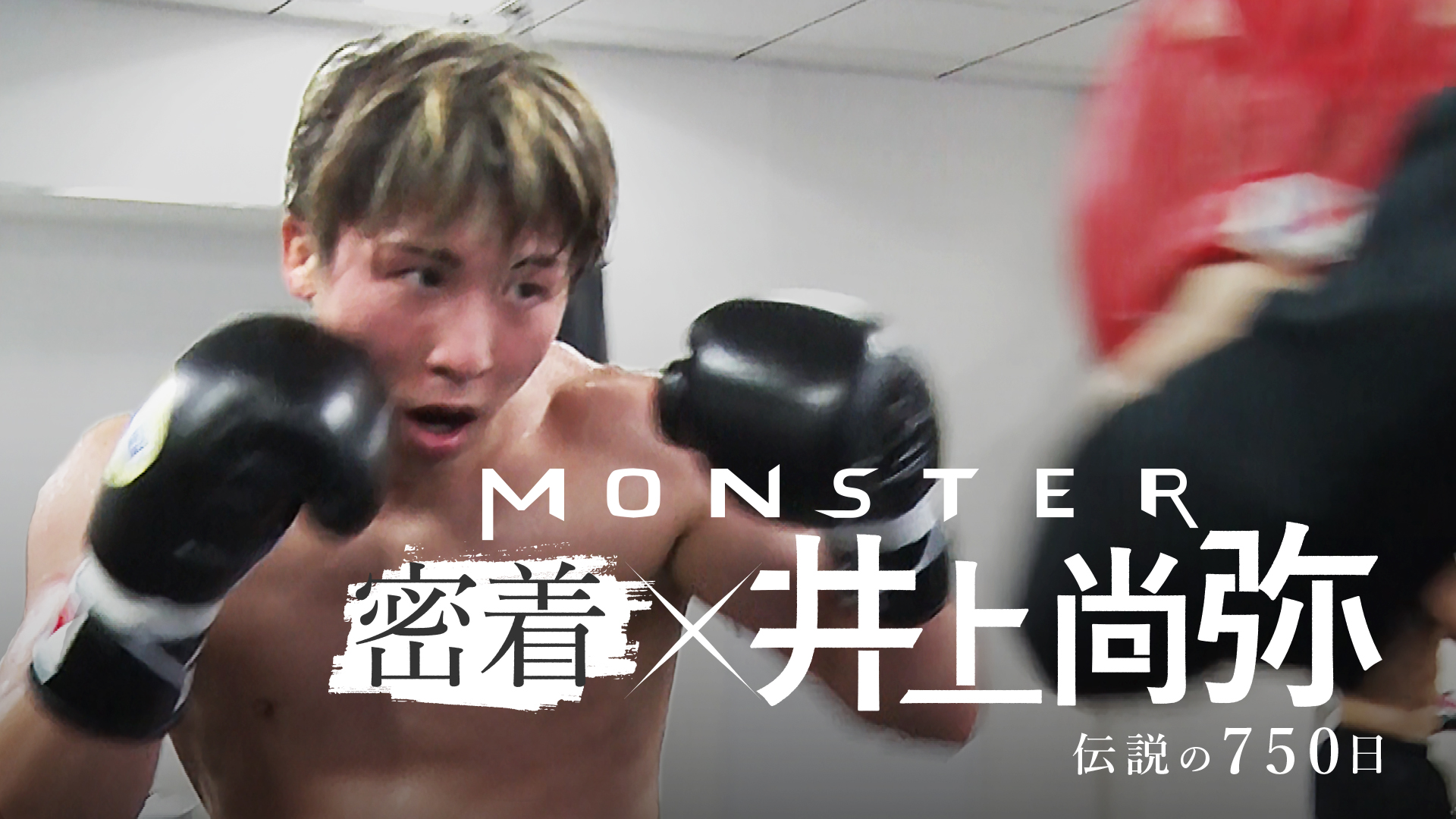 ボクシング】井上尚弥の〝密着750日〟特番が5月12日に放送