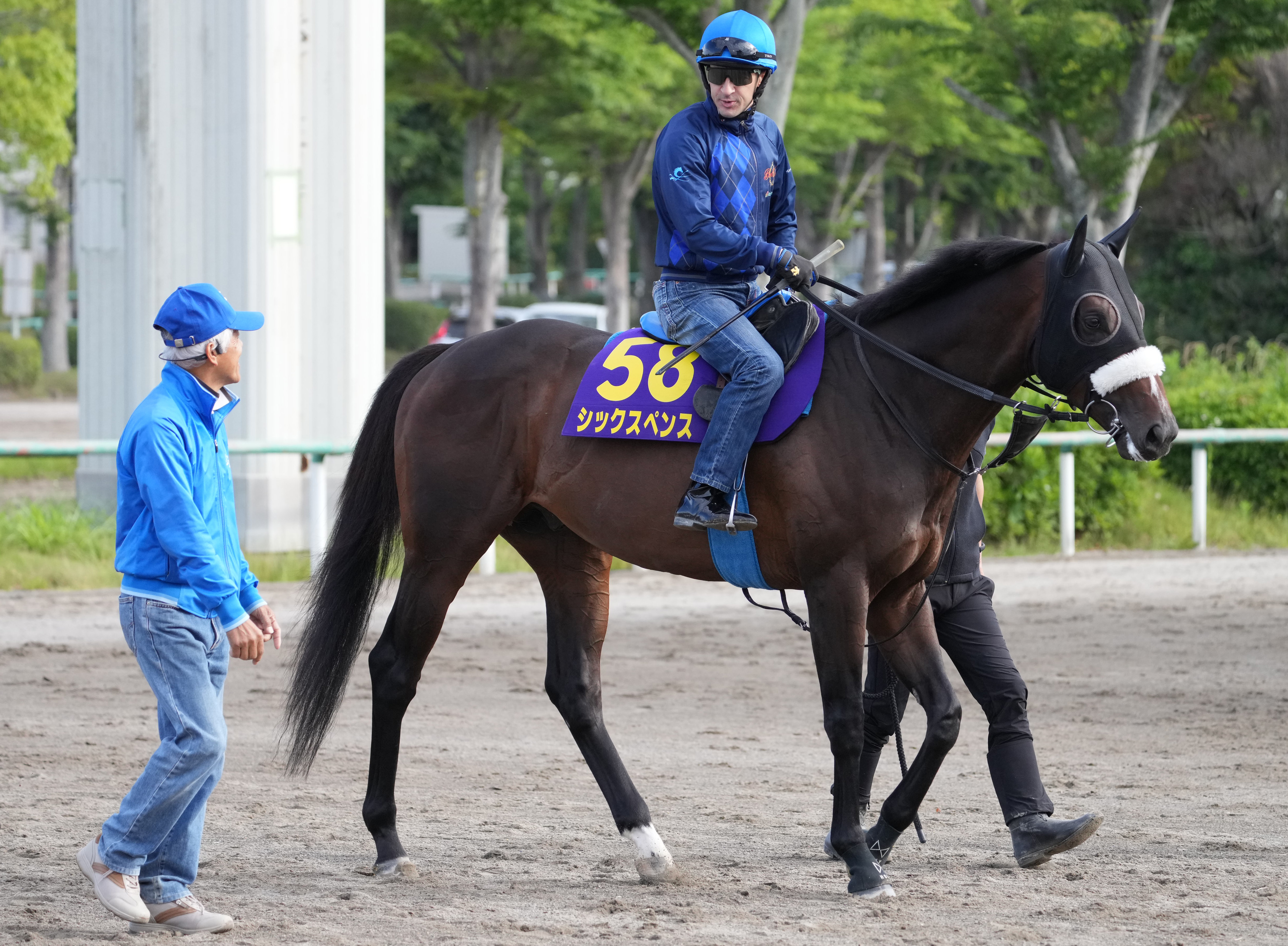 安田記念】大阪杯7着からの反撃期すシックスペンス ルメール騎手