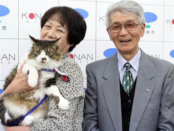 実は捨て猫だった 第６代こにゃん市長当選のジュリアーノの 数奇な運命 公約は動物愛護だにゃぁ 1 3ページ 産経ニュース