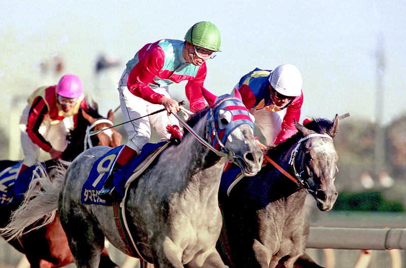 週刊Gallop】古馬vs3歳馬！天皇賞・秋を大特集 「ウマ娘 シンデレラ