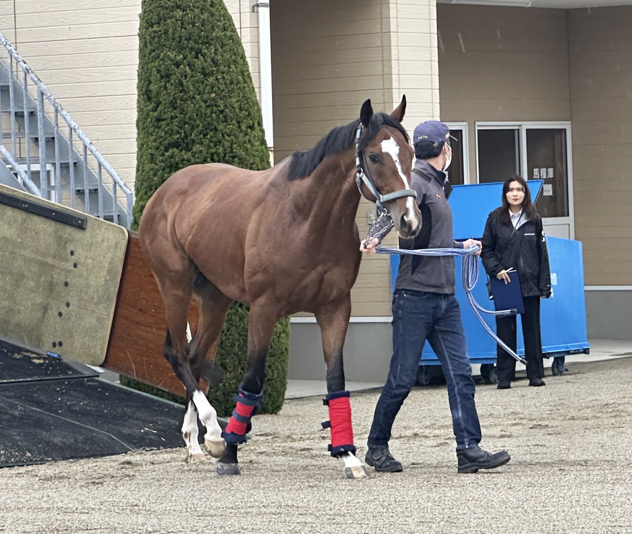 宝塚記念】関東馬が阪神競馬場に到着 ソールオリエンス・名畑助手