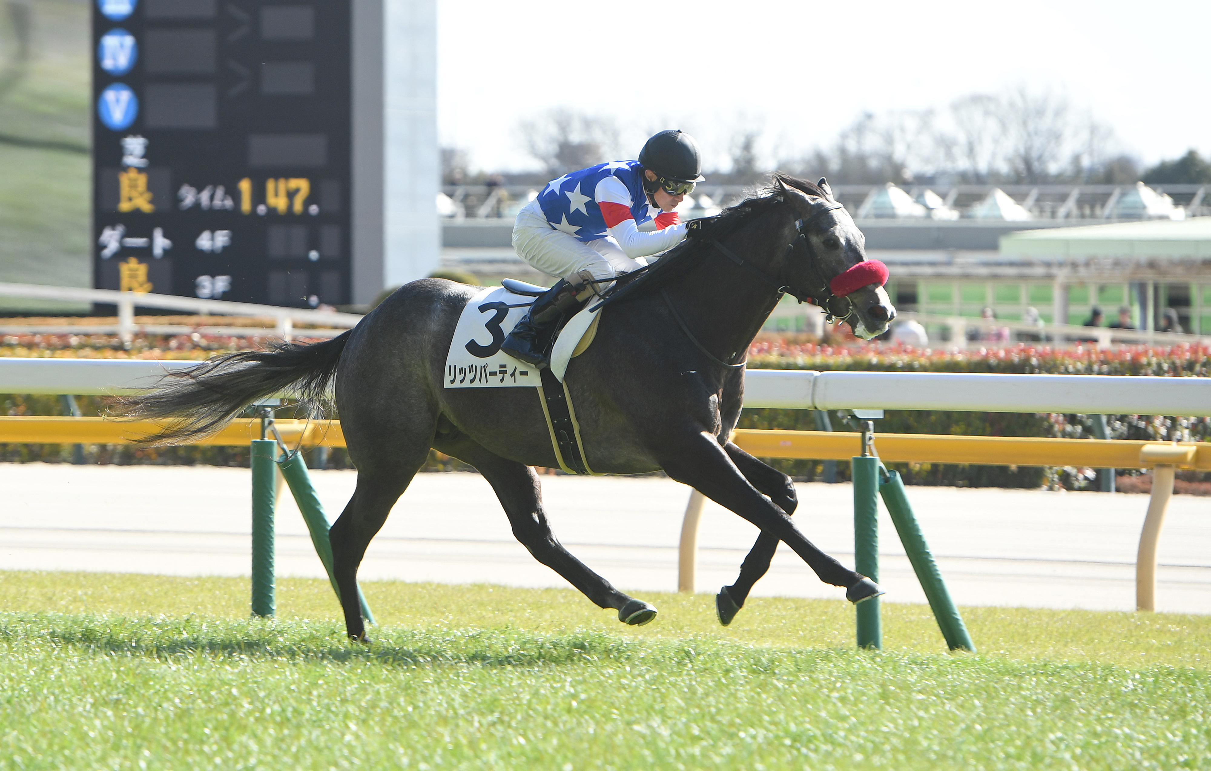 3歳新馬・東京5R】リッツパーティーが早め先頭から堂々押し切り快勝