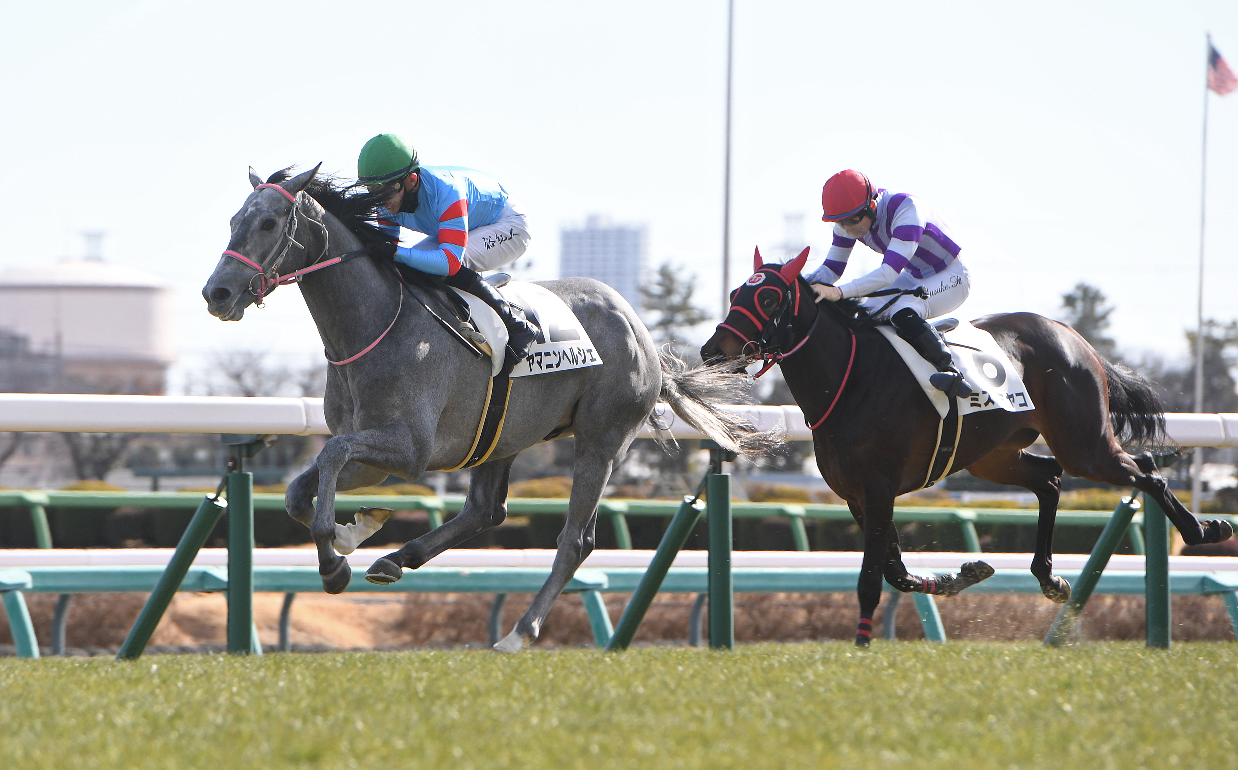 3歳新馬・中山5R】16番人気、単勝198.2倍のヤマニンヘルシェが波乱V