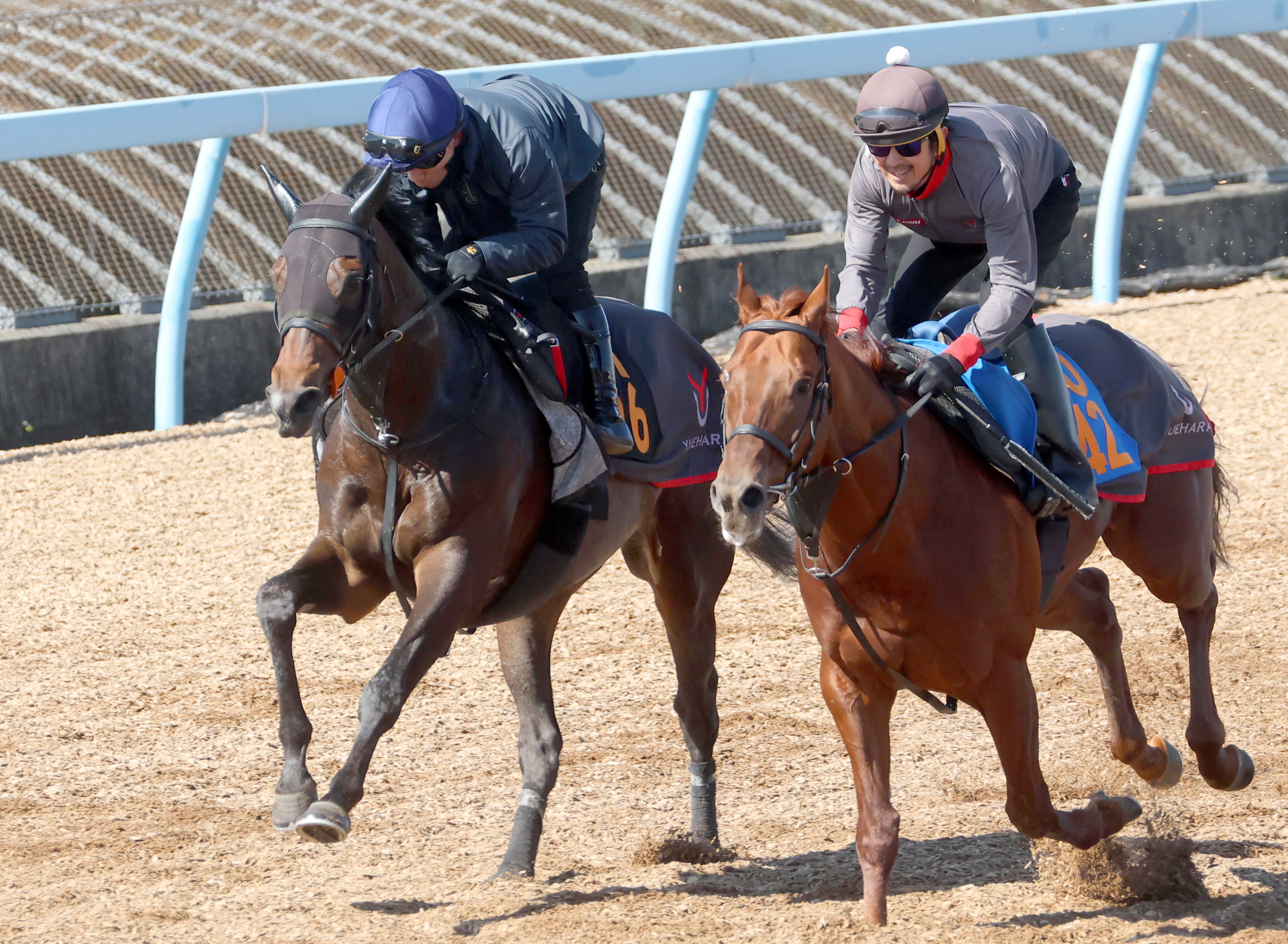 弥生賞ディープインパクト記念 木曜追い切り】ライヒスアドラー美浦W馬